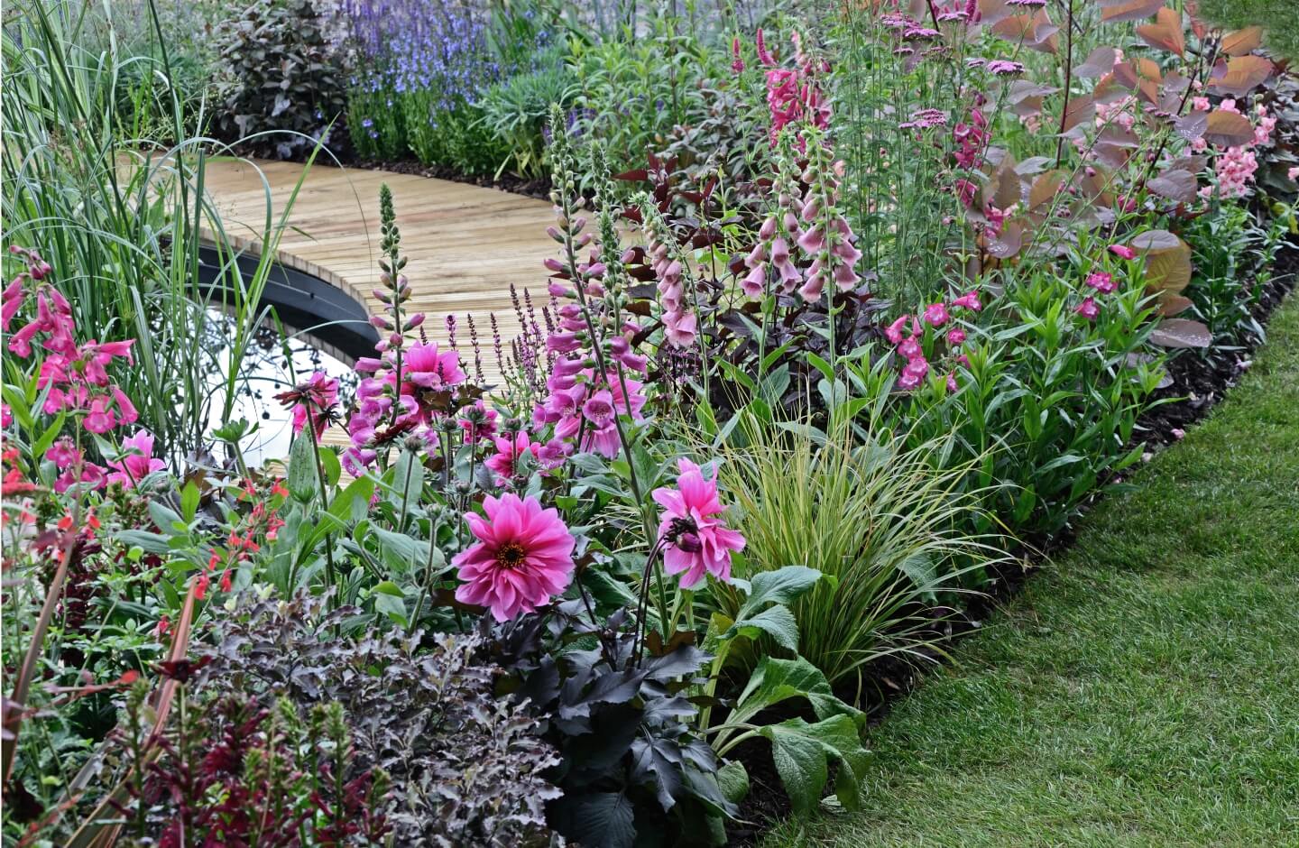 Blumenbeet mit bunten Blüten