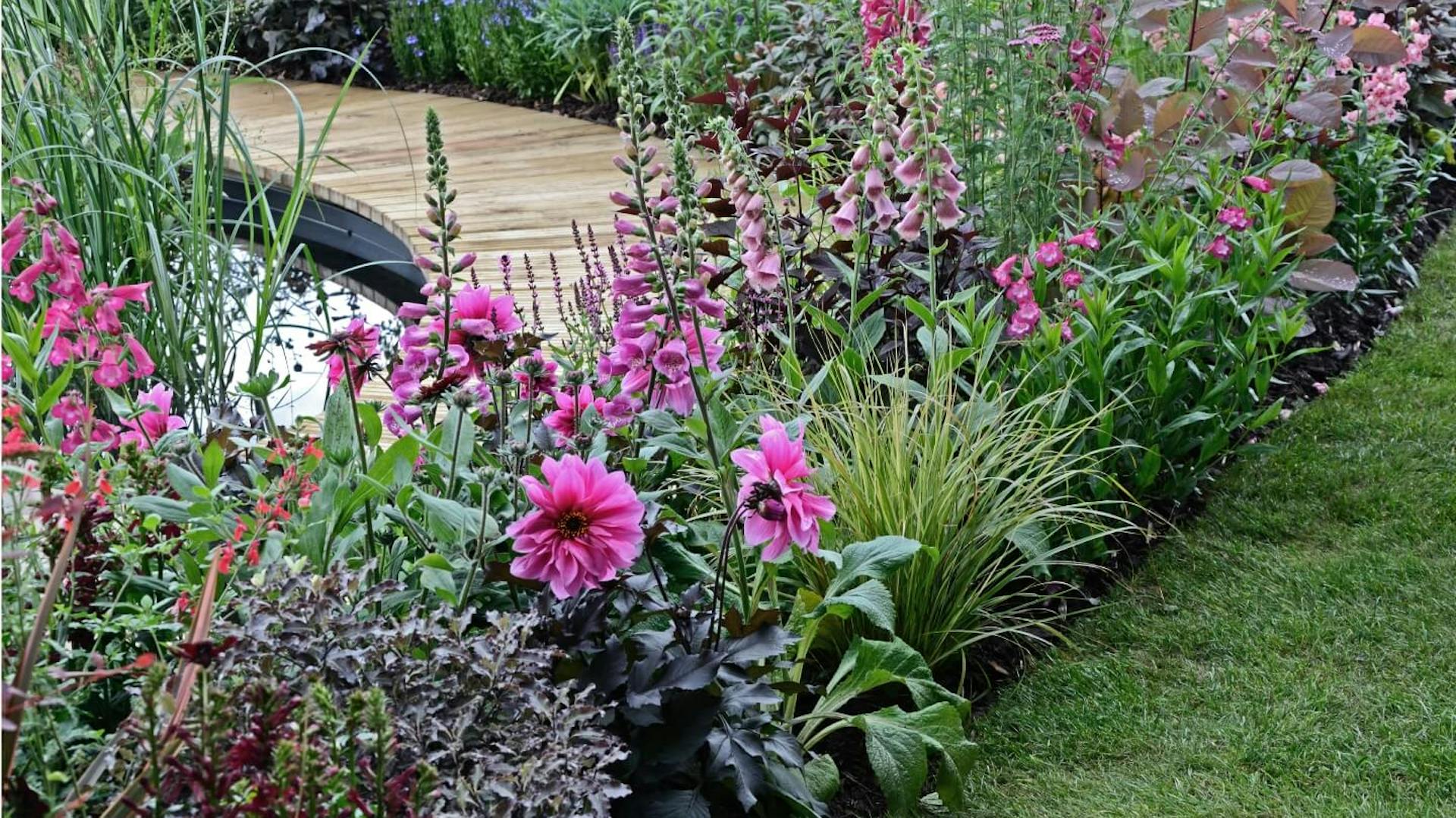 Blumenbeet mit bunten Blüten
