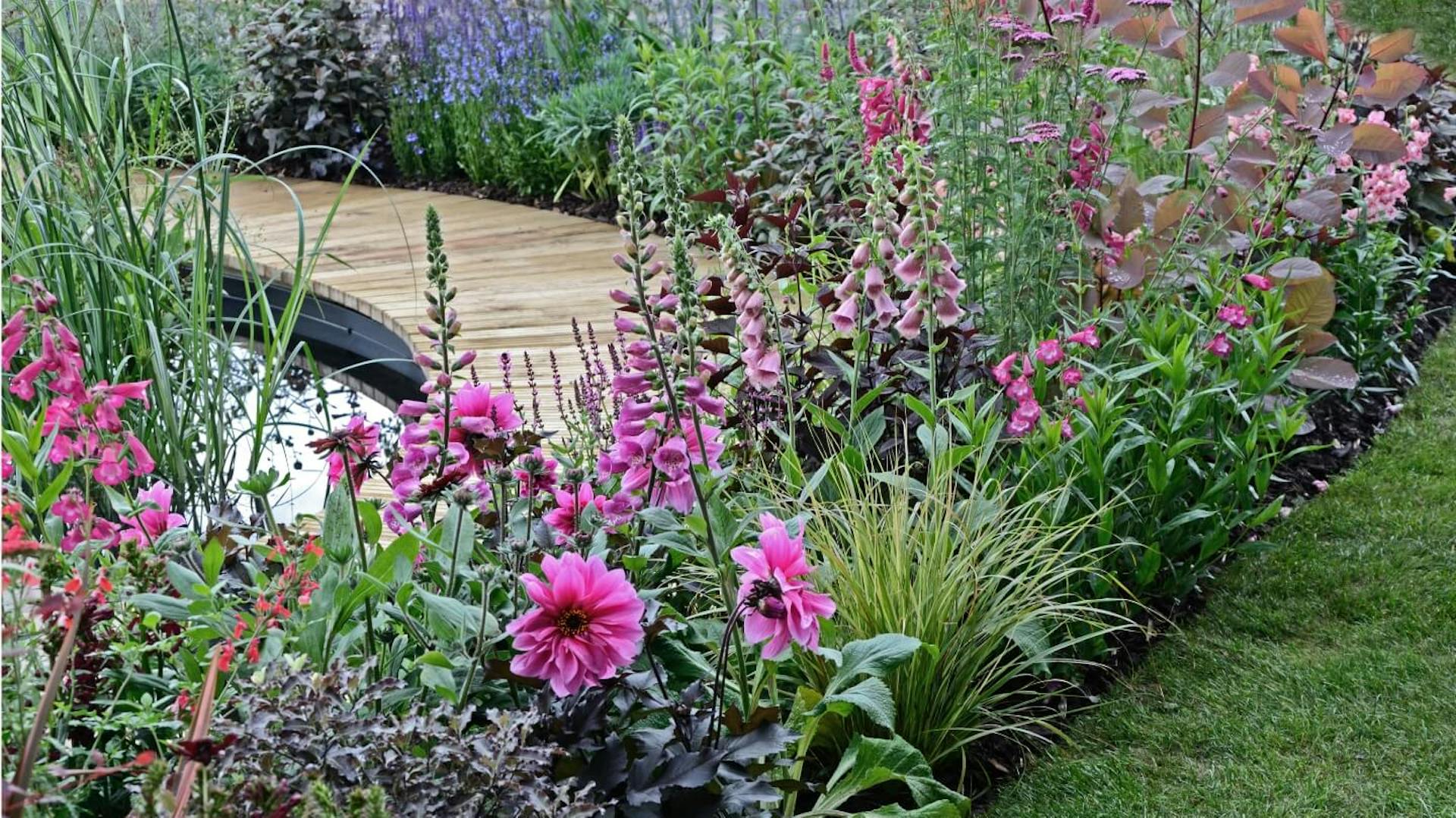 Aiuola con fiori lilla accanto alla piscina