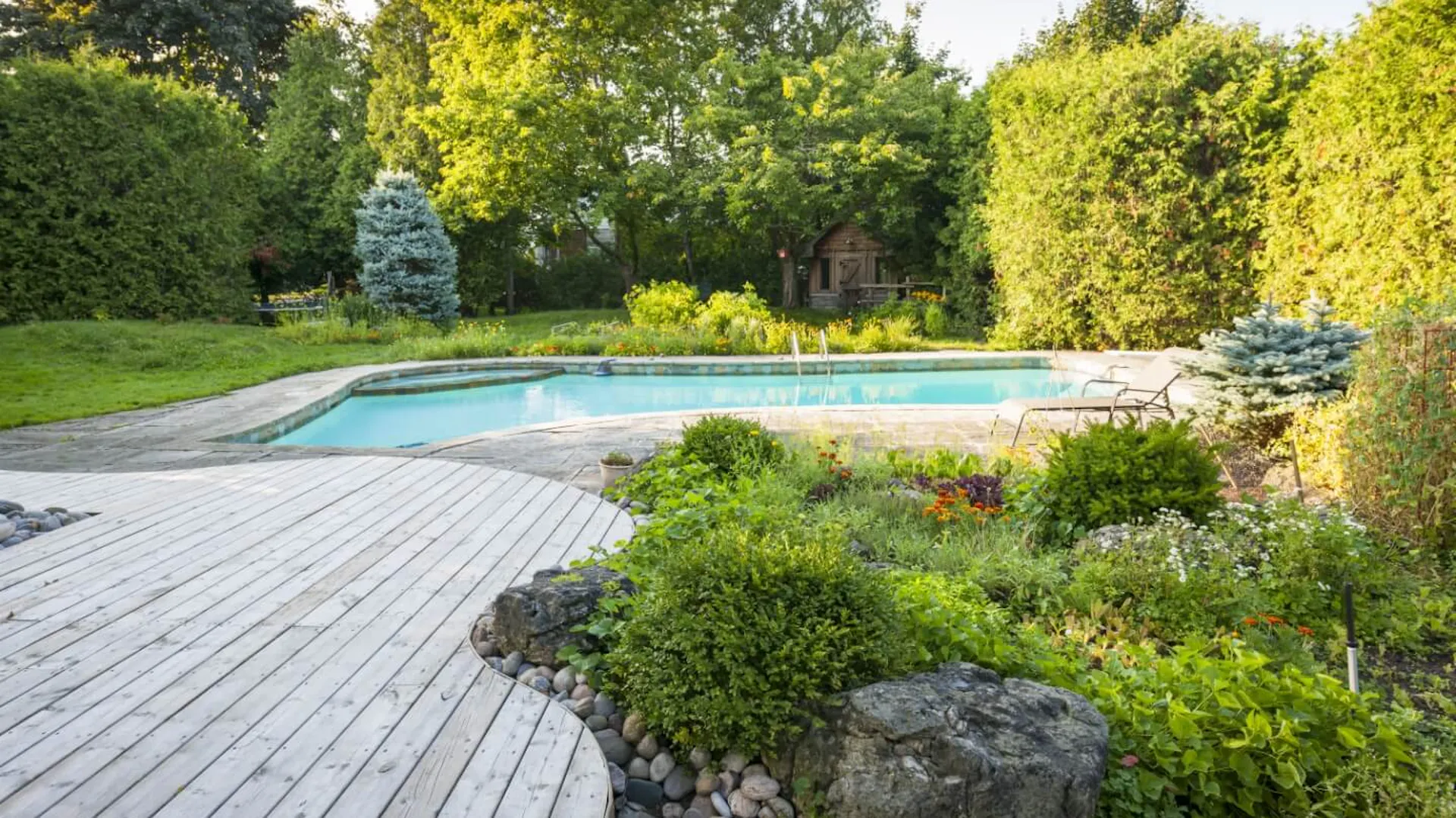Einbaupool im Garten neben Terrasse und Pflanzen