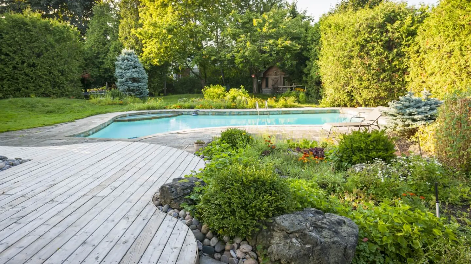 Einbaupool im Garten neben Terrasse und Pflanzen