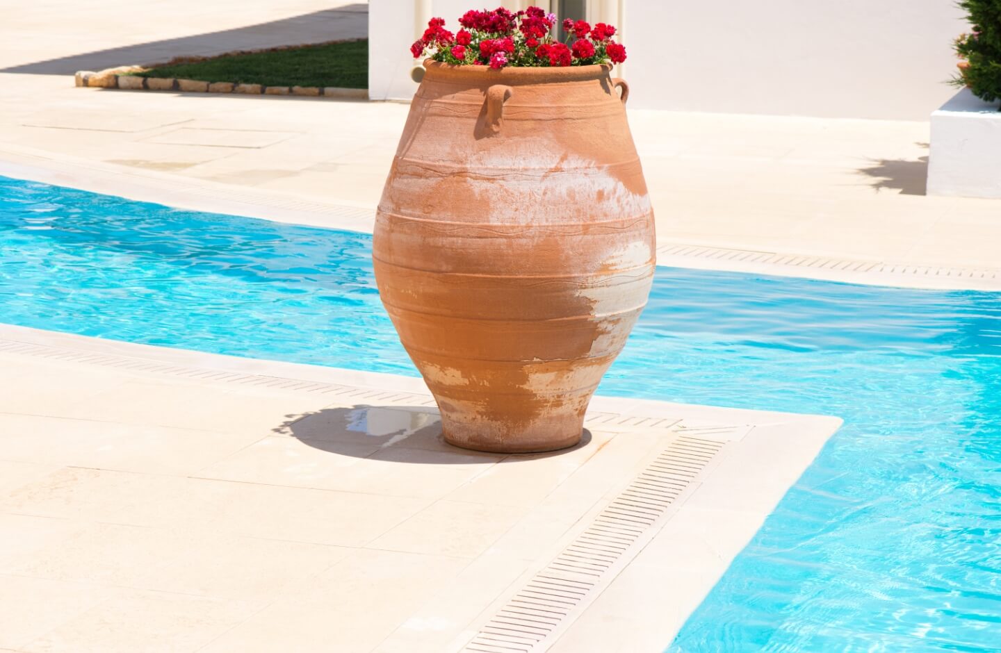 Vaso in terracotta con fiori rossi a bordo piscina