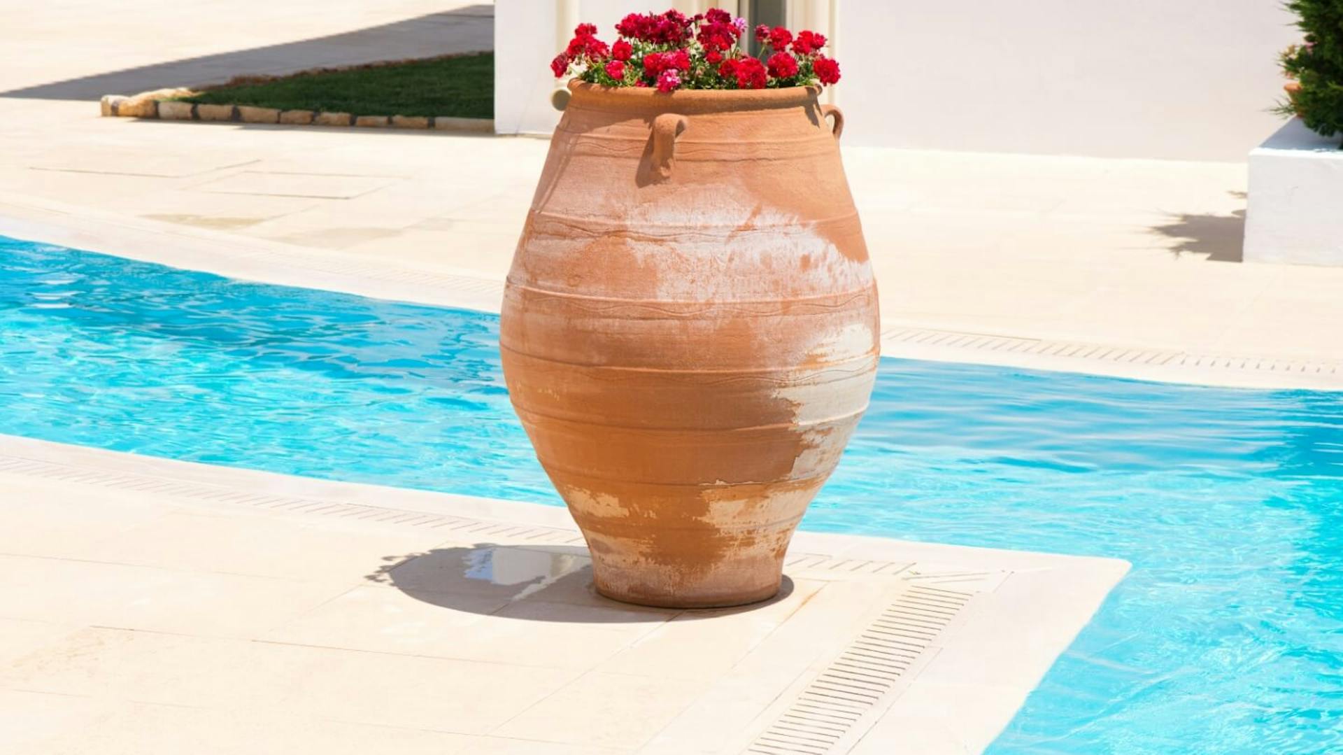 Vaso in terracotta con fiori rossi a bordo piscina