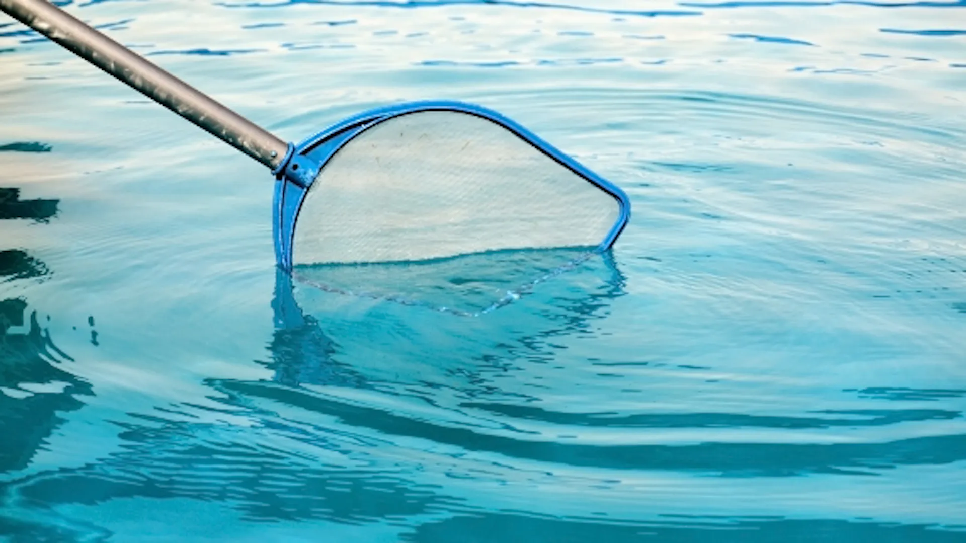 Einbaupool im Garten neben Terrasse und Sichtschutz