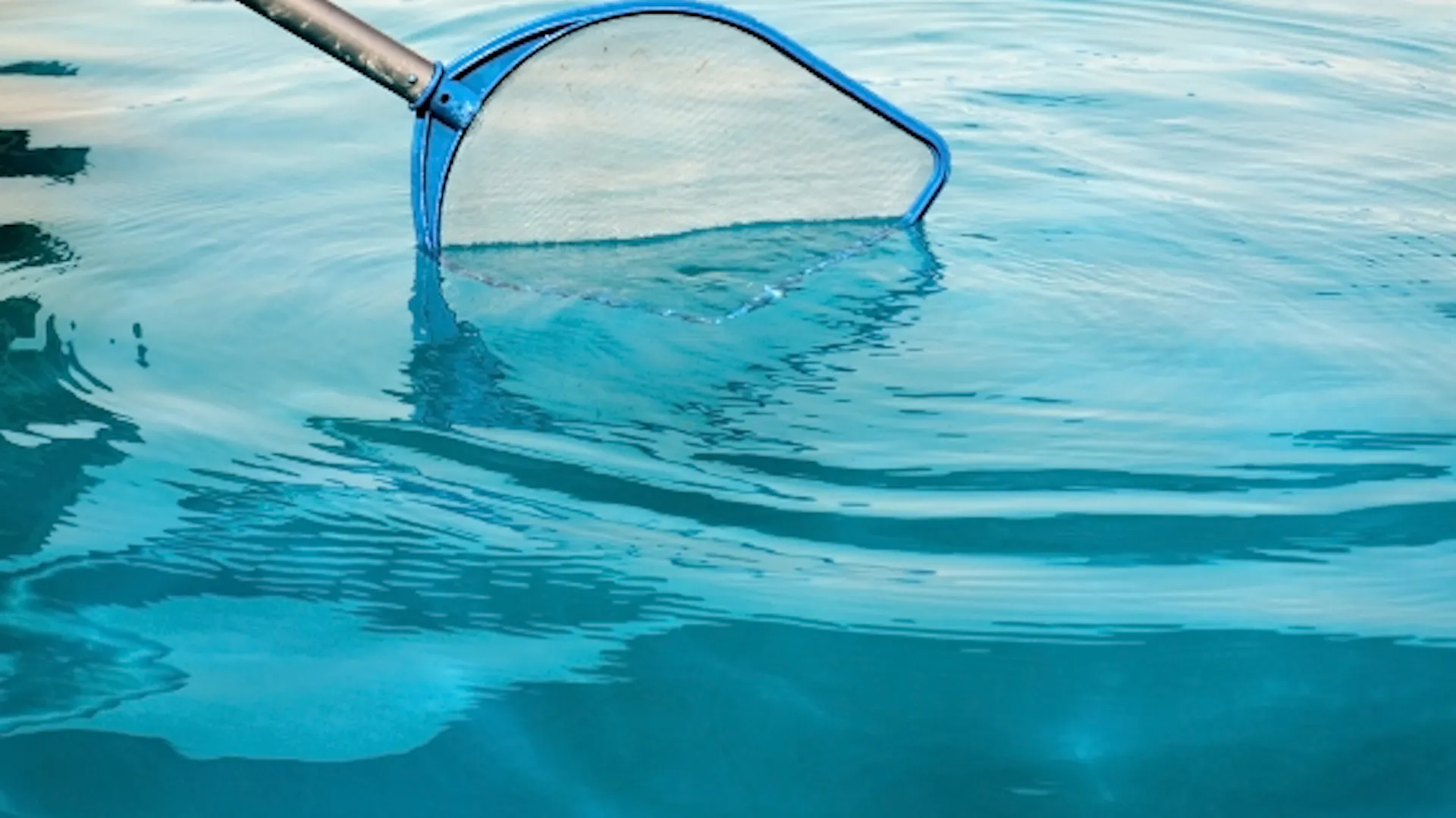 Kescher gleitet durch Poolwasser, um Verschmutzungen aufzusammeln.
