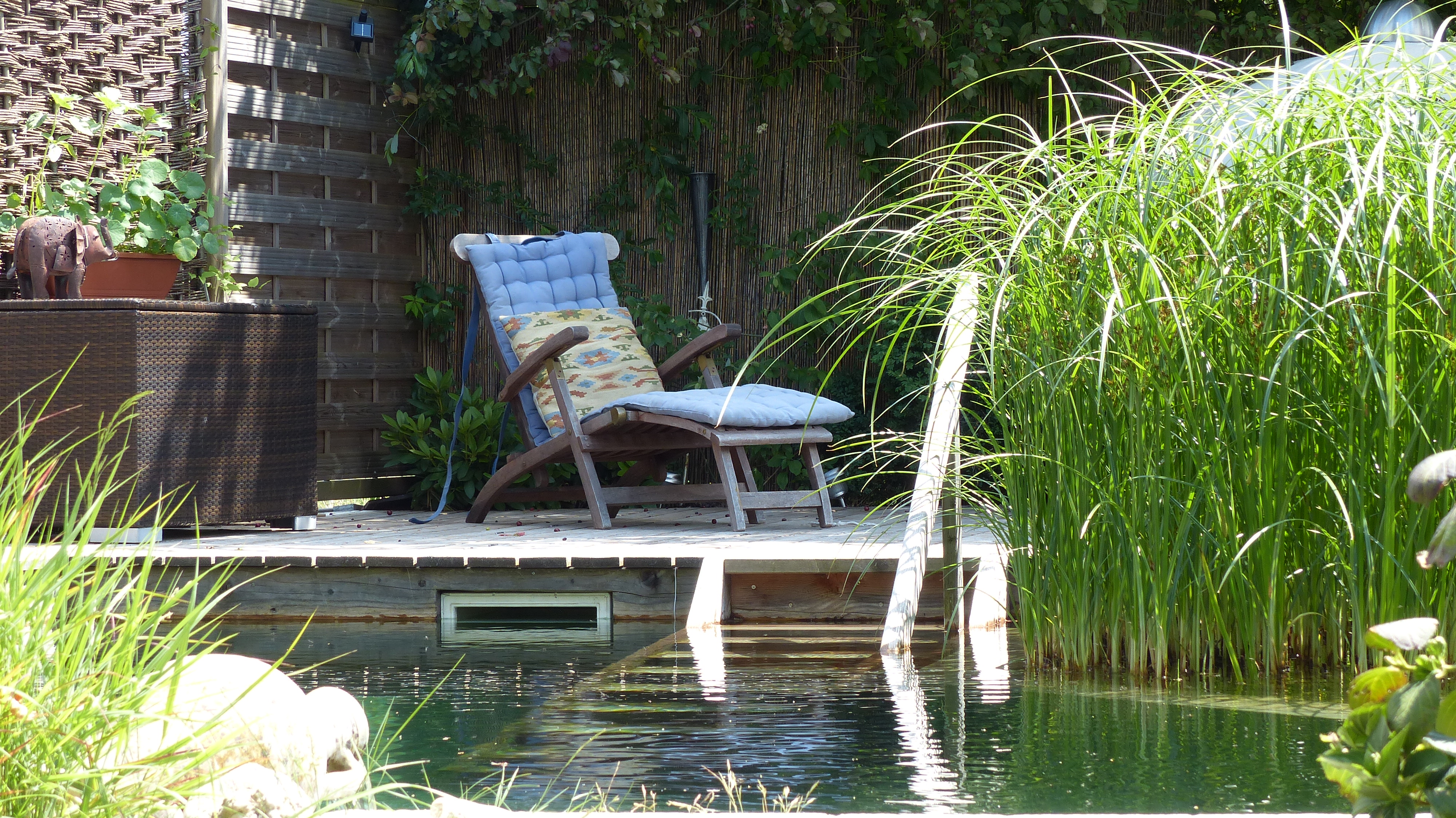 Ein Pool im Garten mit Gartenliege.