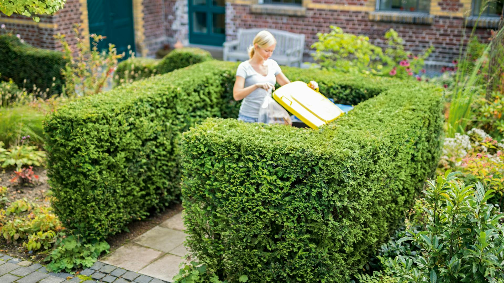 Eibenhecke als Sichtschutz für Mülltonnen