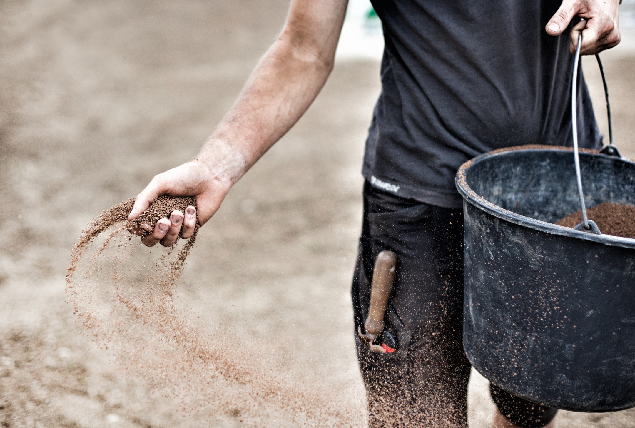 Gärtner verteilt Dünger für Hecke aus Eimer.