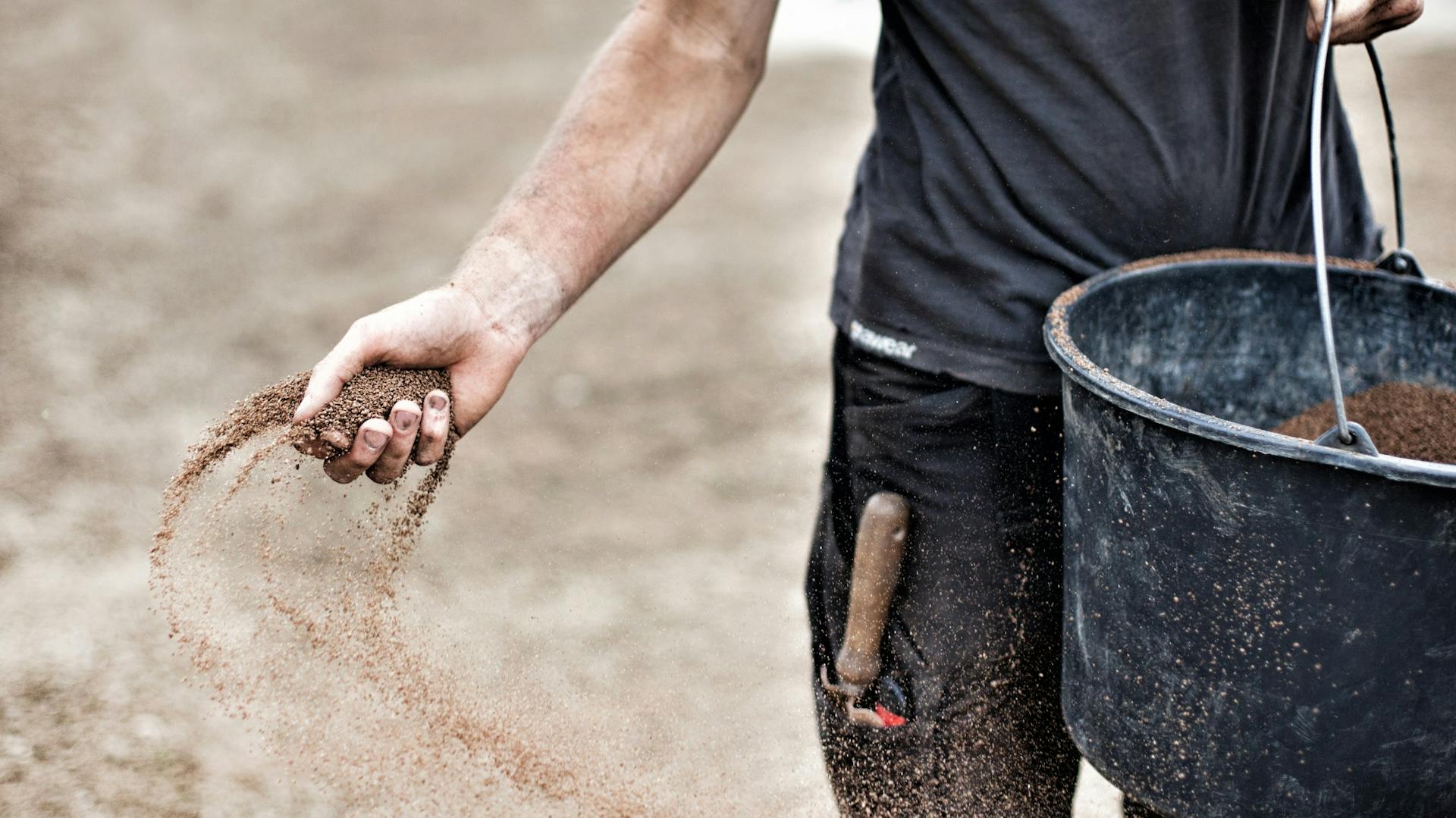 Gärtner verteilt Dünger für Hecke aus Eimer.
