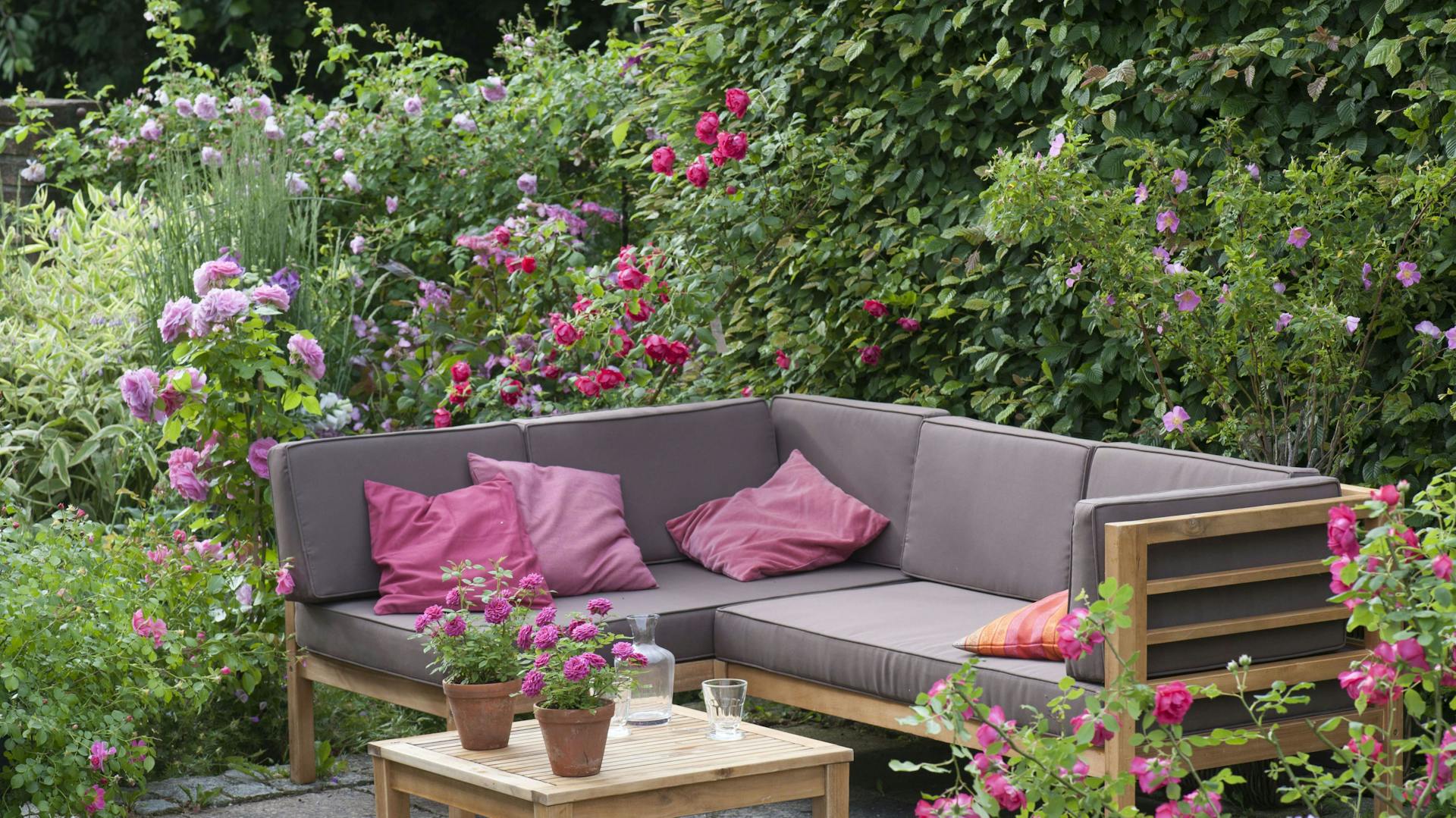 Lounge-Möbel im Garten vor einer Hecke