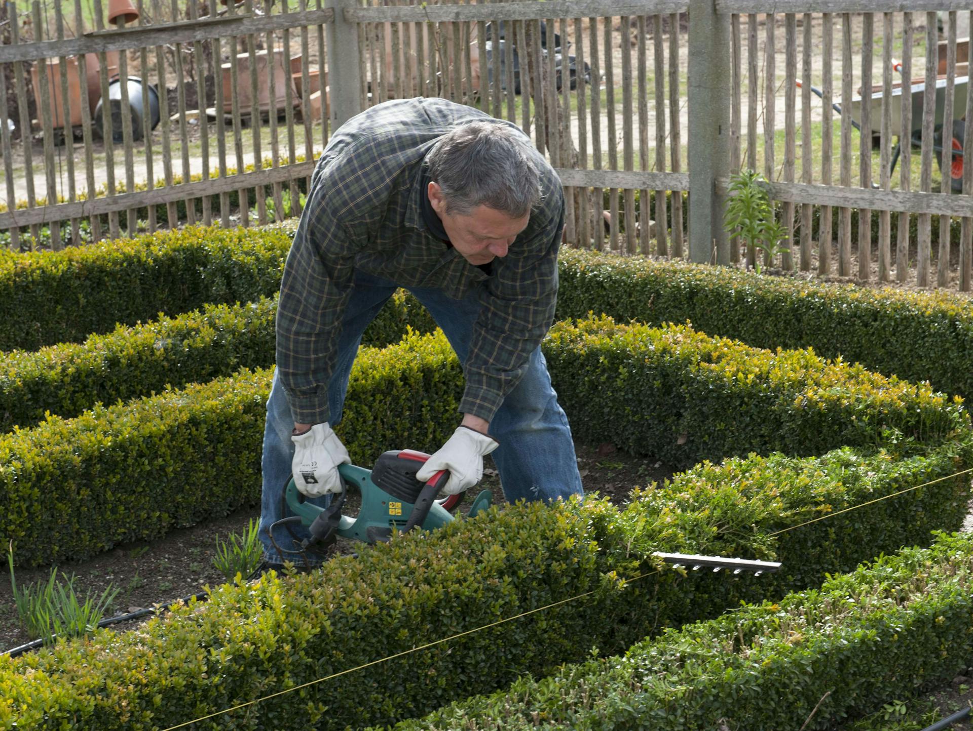 Ein Mann schneidet eine Hecke.