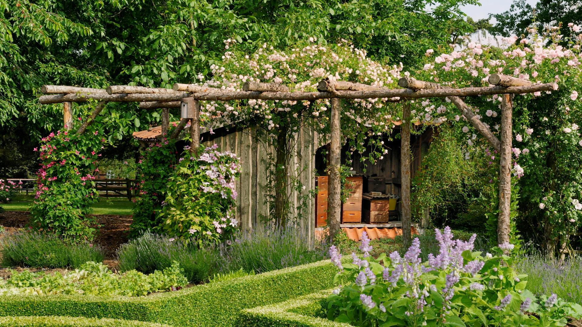 Pergola aus Fichtenstämmen.