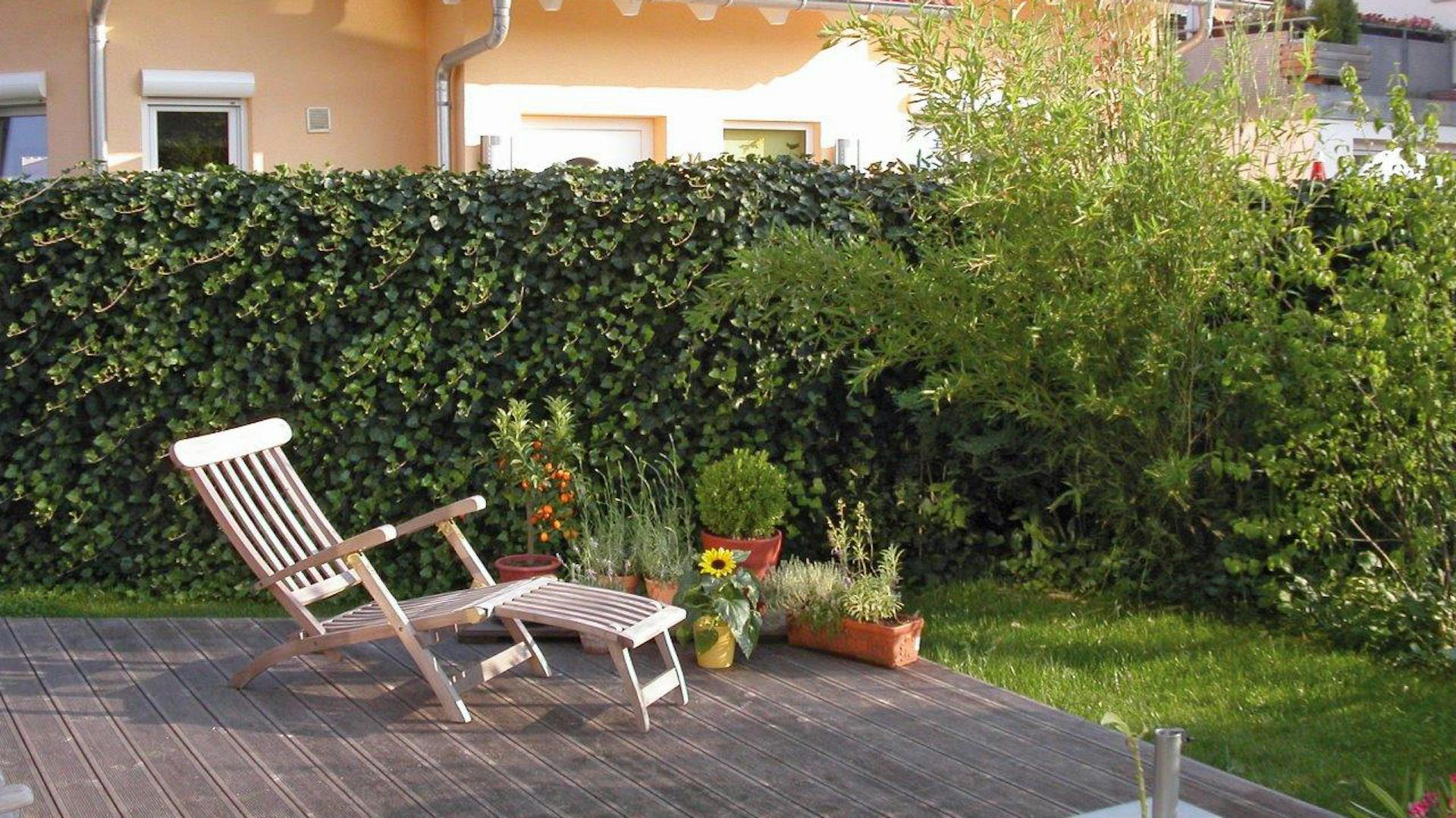Sonnenliege auf Terrasse im Garten neben Efeuhecke.