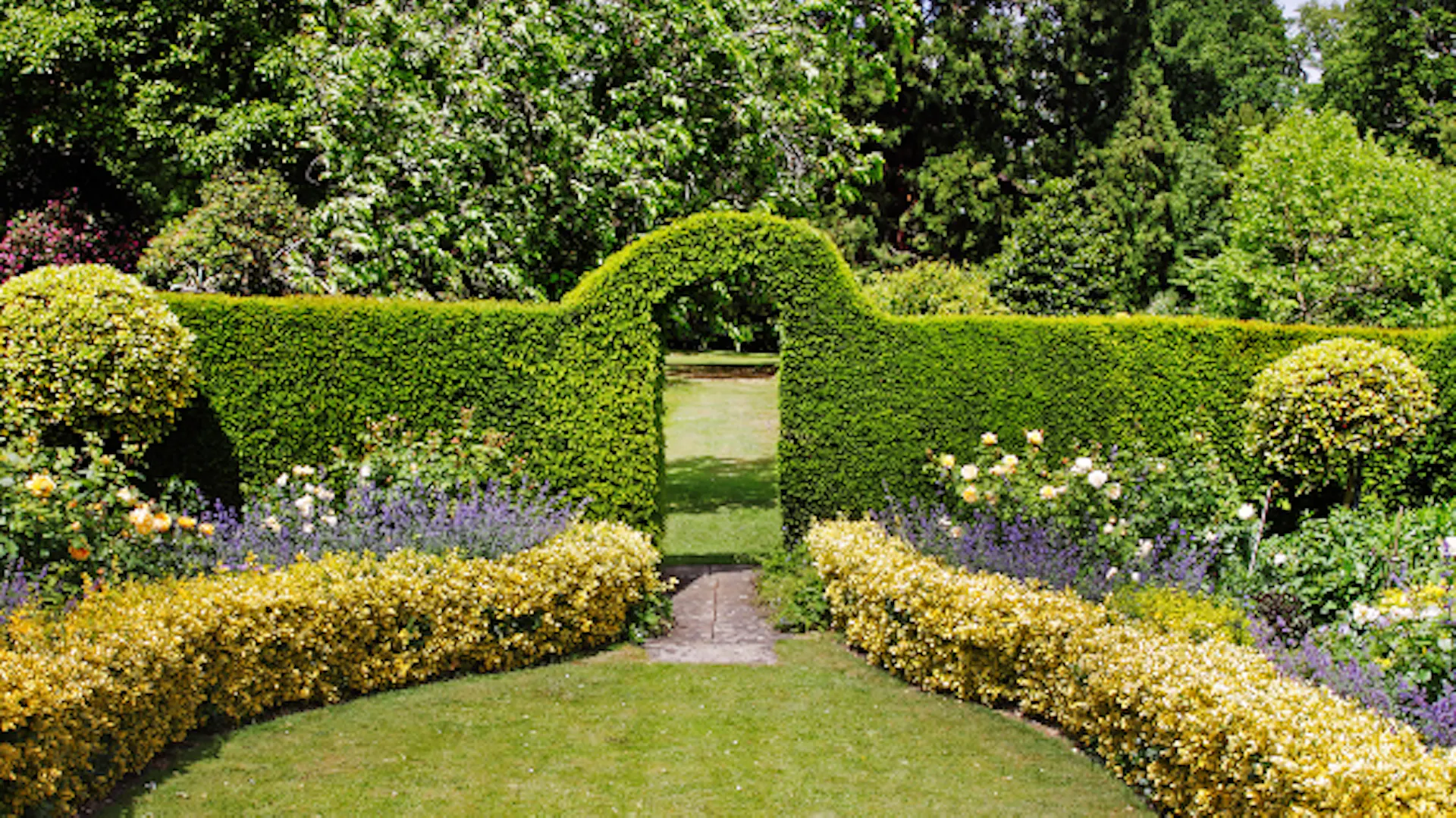 Hecke mit Torbogen in Garten