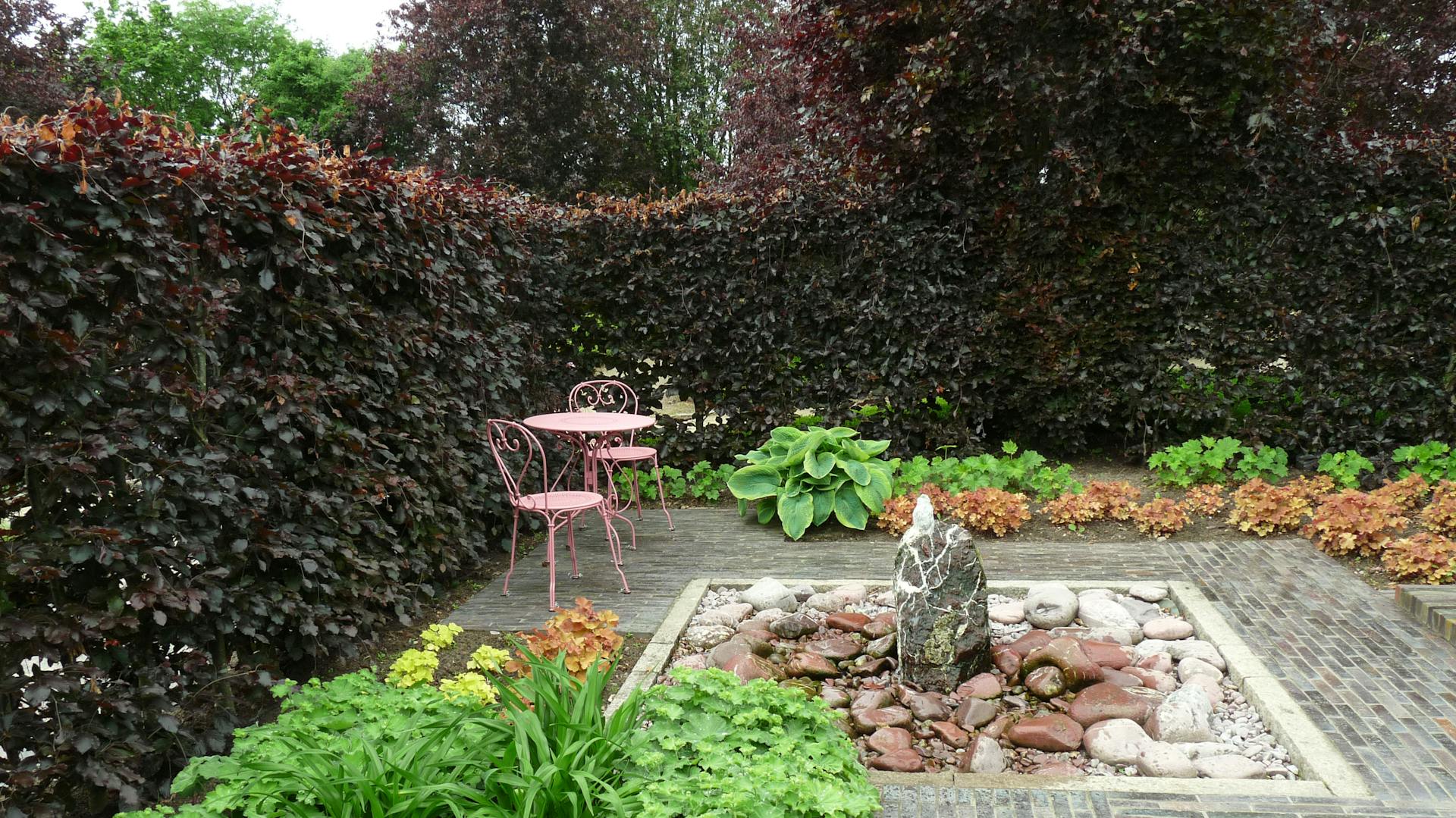 Hecke als Sichtschutz