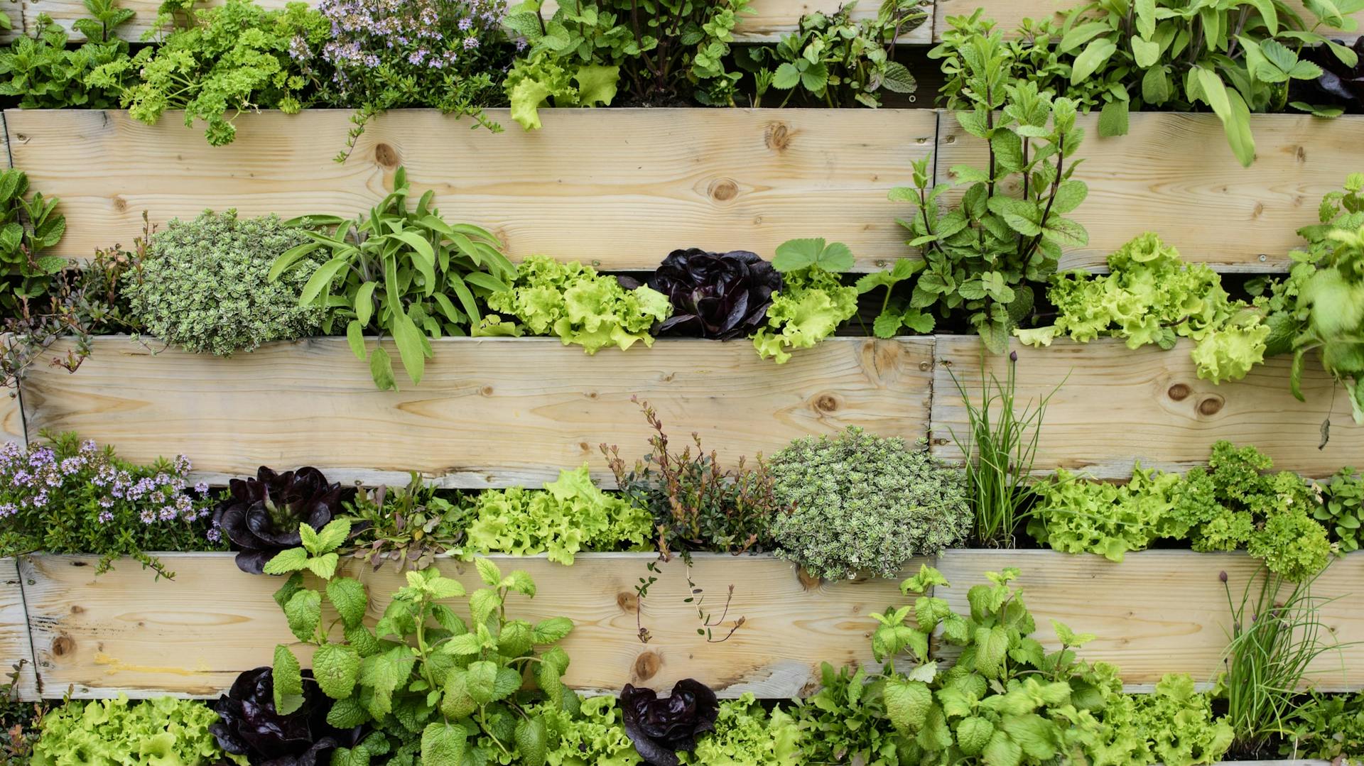 Vertikaler Garten als Sichtschutz