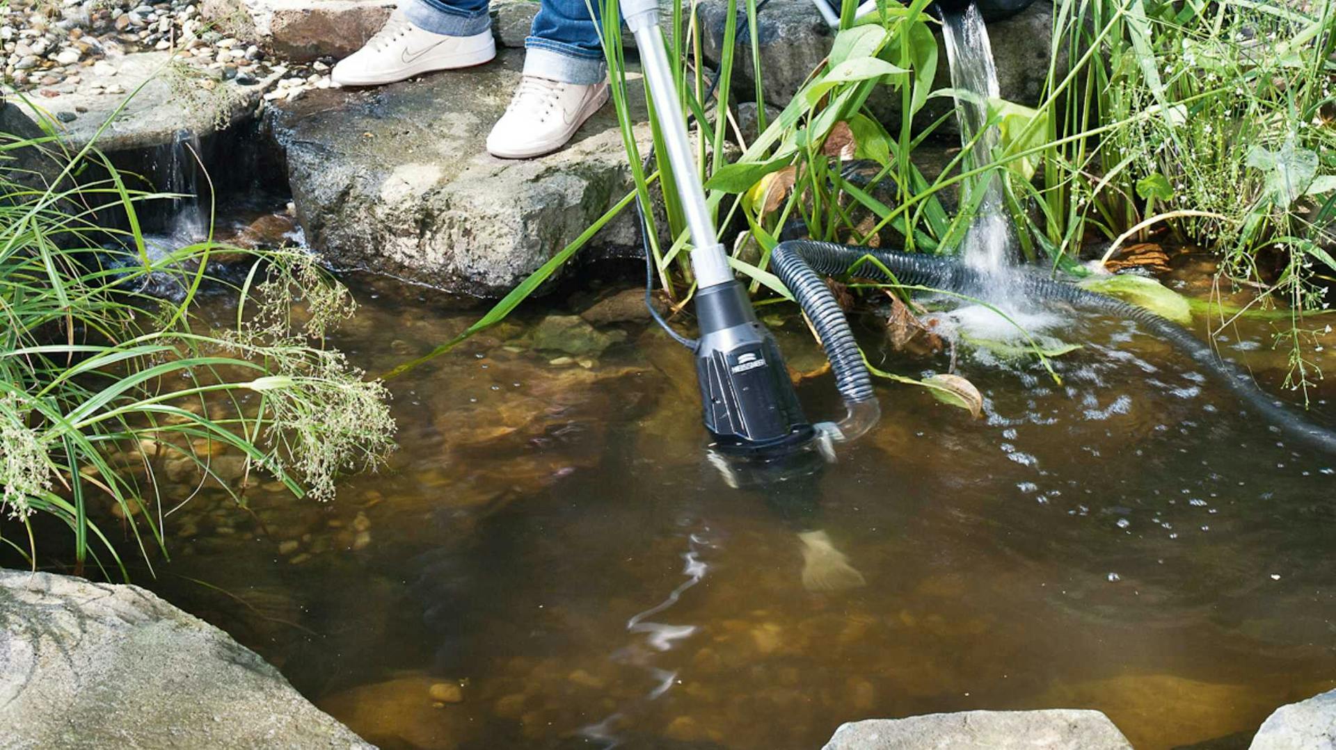 Gartenteich wird mit Teichsauger von Algen befreit und gereinigt.