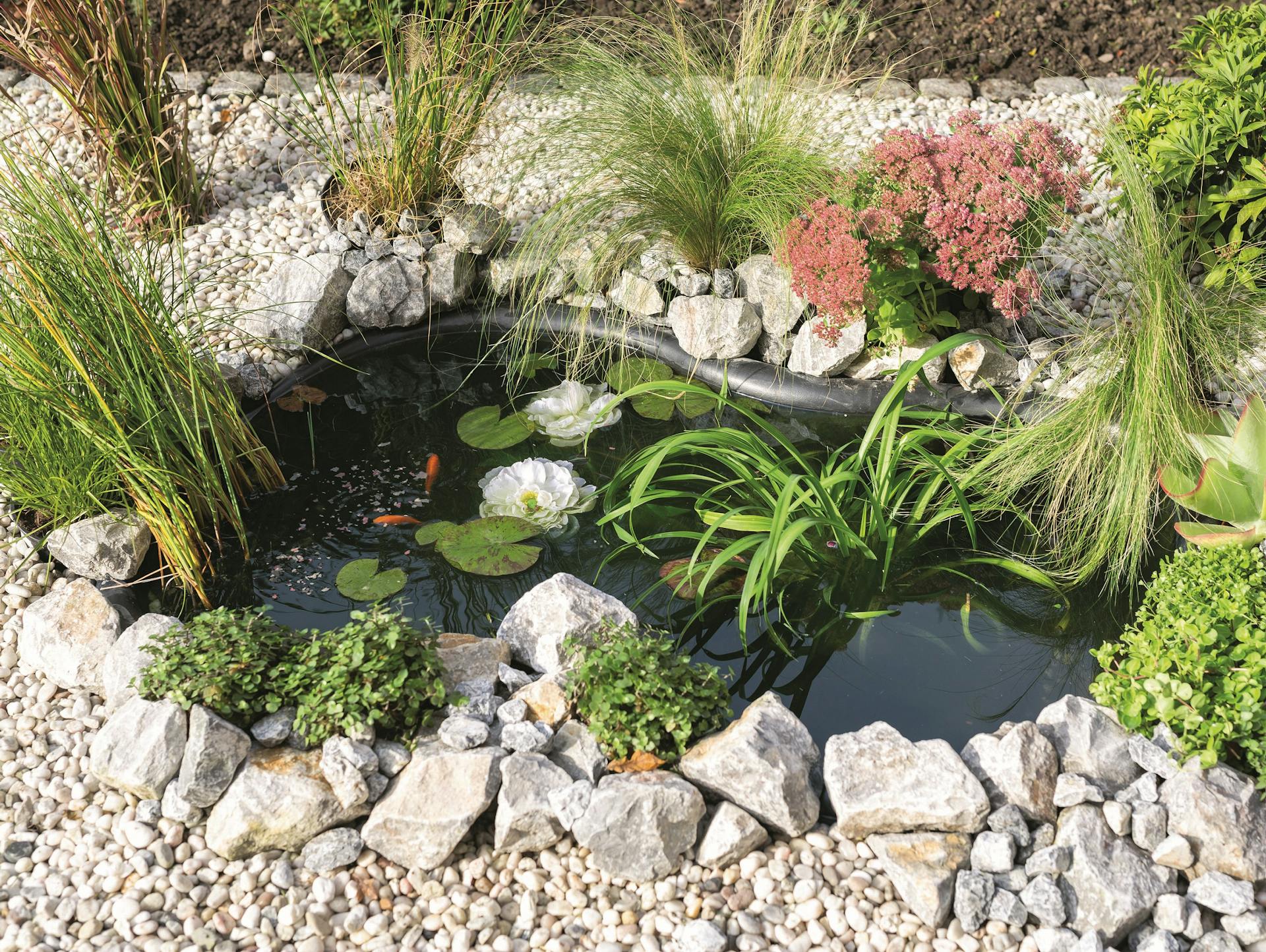 Bepflanzter Fertigteich