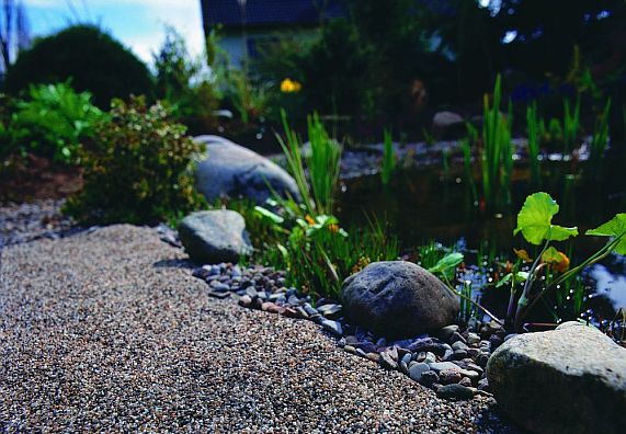 Fische in den Teich setzen Ratgeber & Tipps OBI