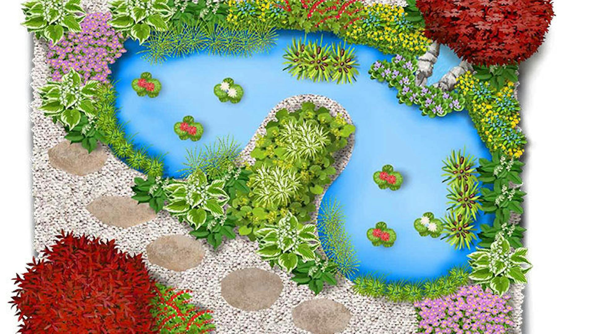 Skizze von einem Gartenteich mit Wasser- und Uferbepflanzung.