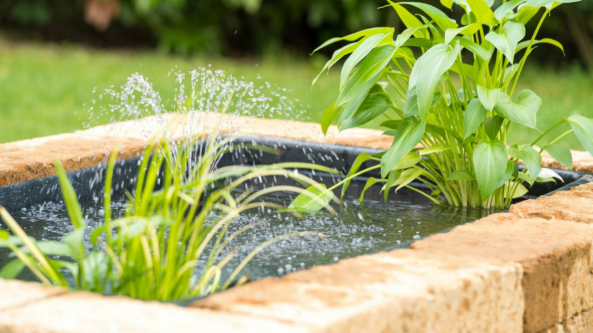 Gemauerter Hochteich mit Wasserpflanzen