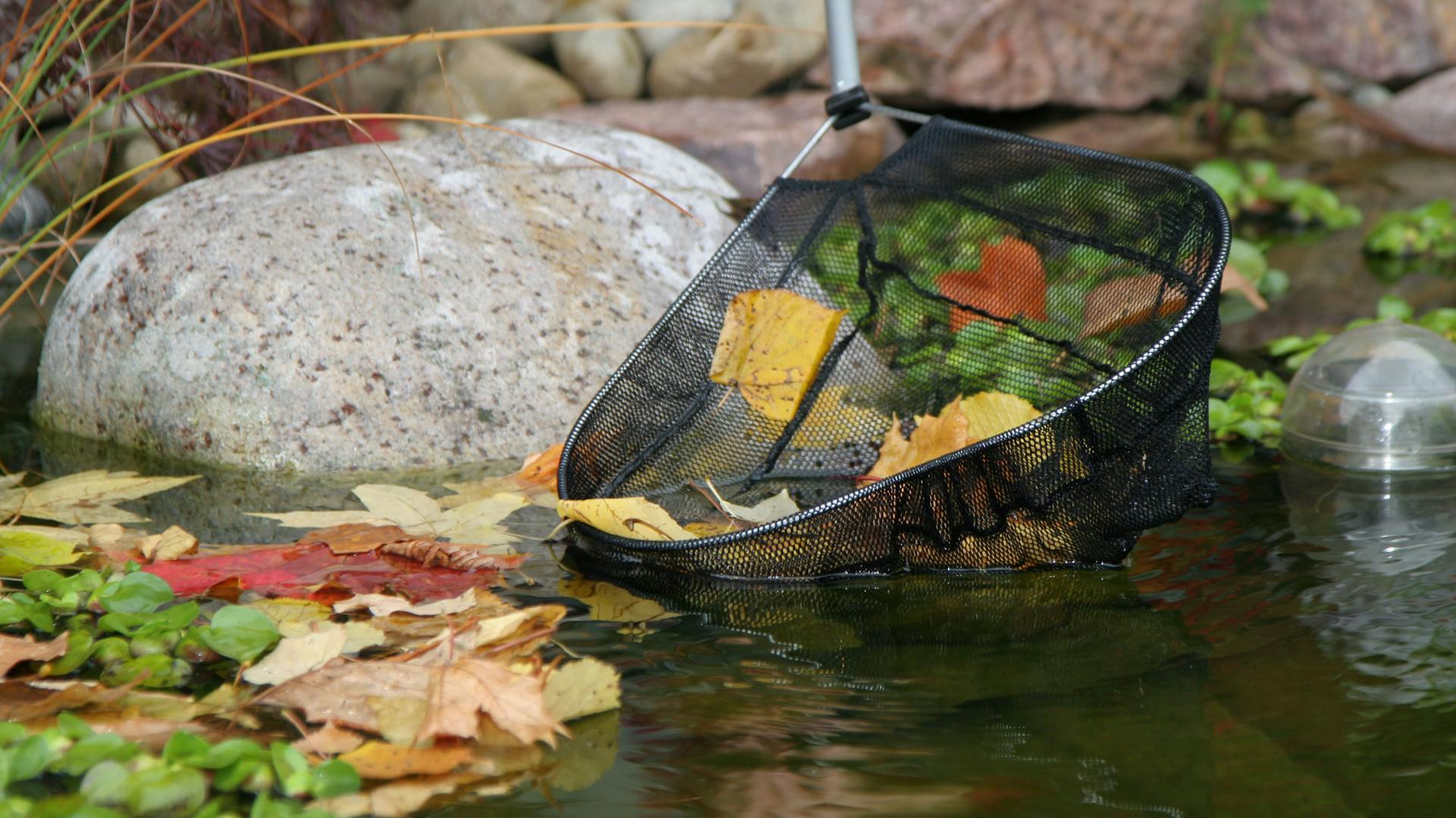 Jemand entfernt Laub aus einem Teich mit einem Kescher.