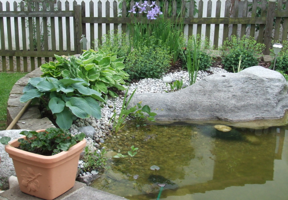 Teichsicherung Ideen für Gewässer im Garten OBI