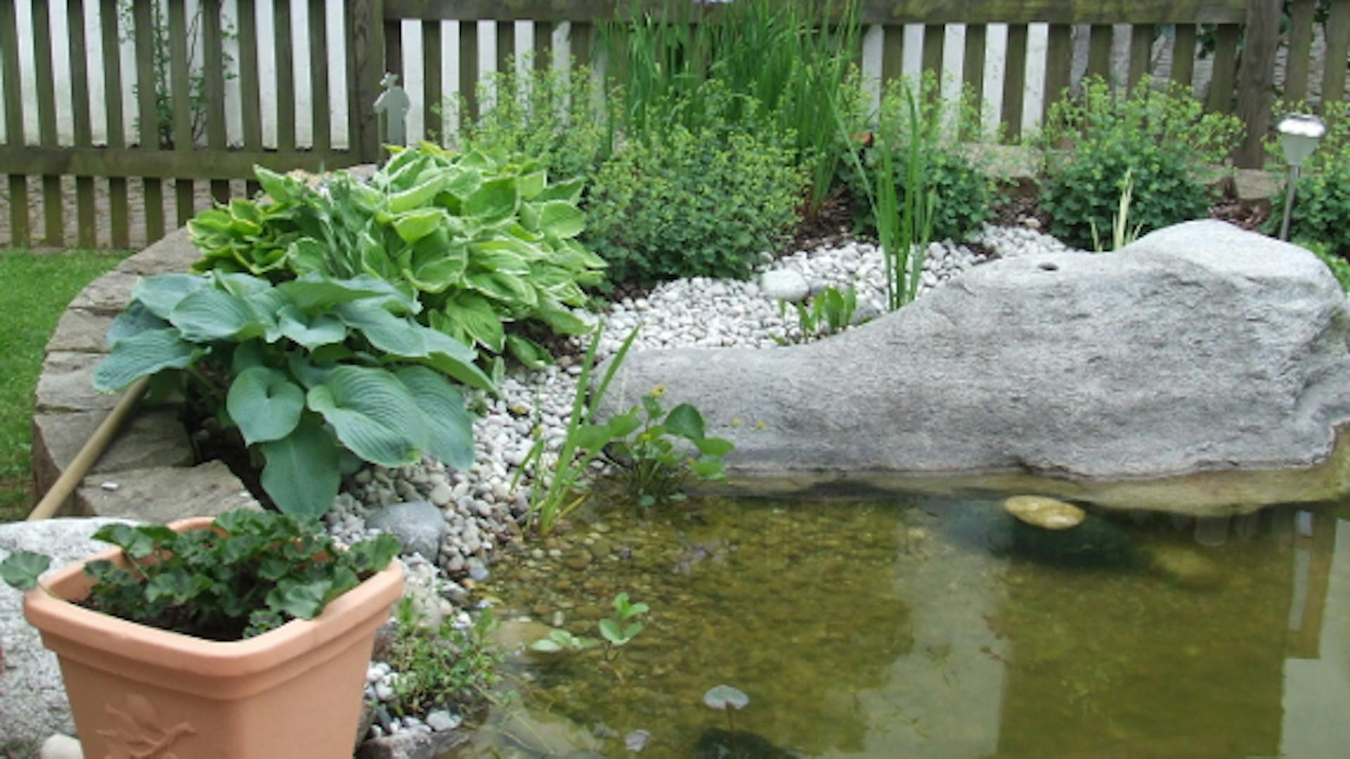 Im Vordergrund befindet sich ein kleiner Gartenteich an einer Terrasse. Der Teich ist mit einem Holzzaun im Hintergrund abgesichert.