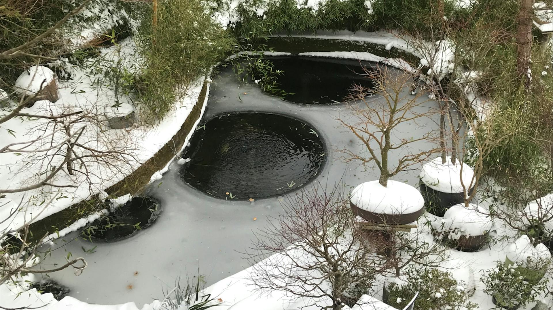 Winterlicher, teilweise gefrorener Gartenteich mit Pflanzen und Steinen umgeben.