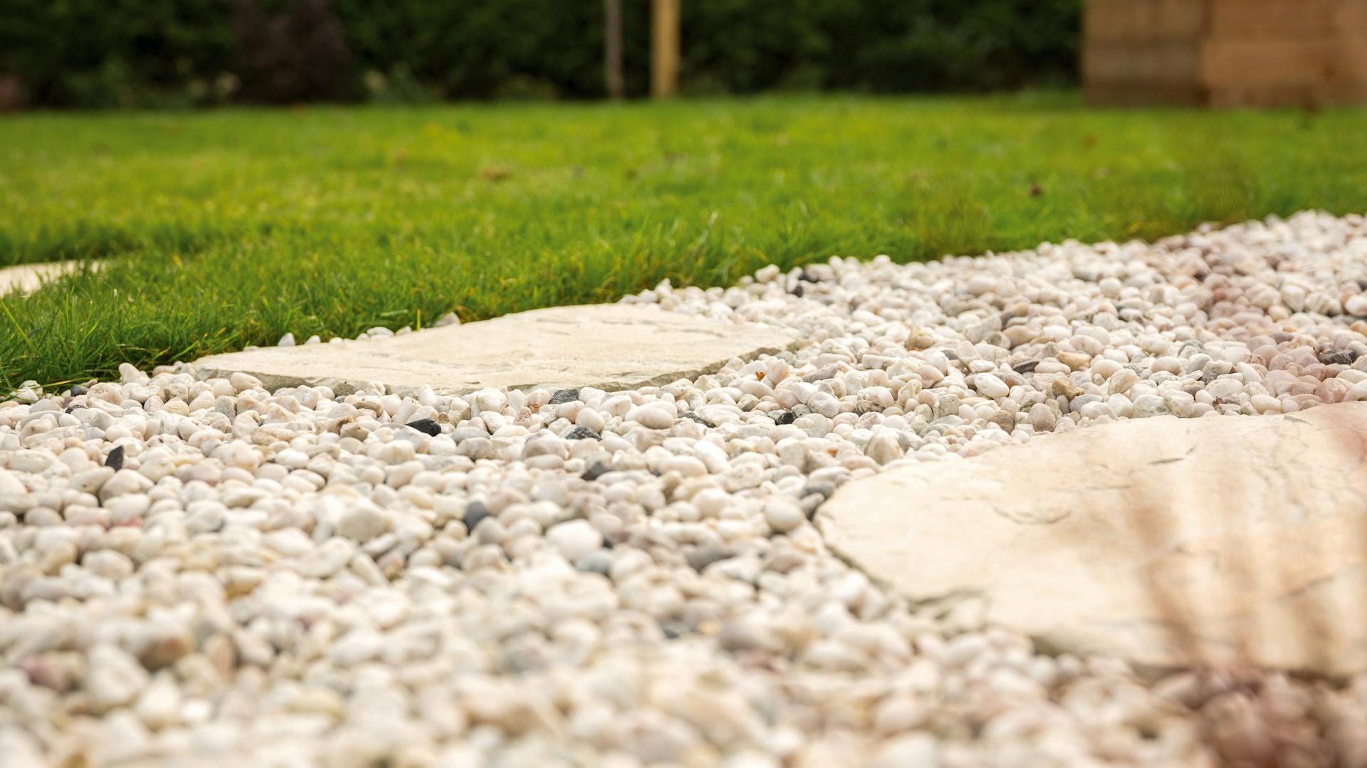 Blick in den Garten auf Kies und Wiese