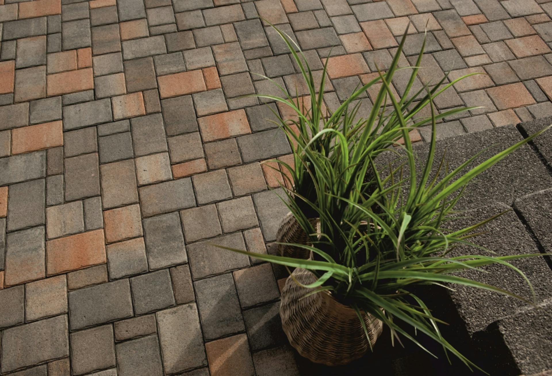 Piros-barna térkövekből álló kerti járda.