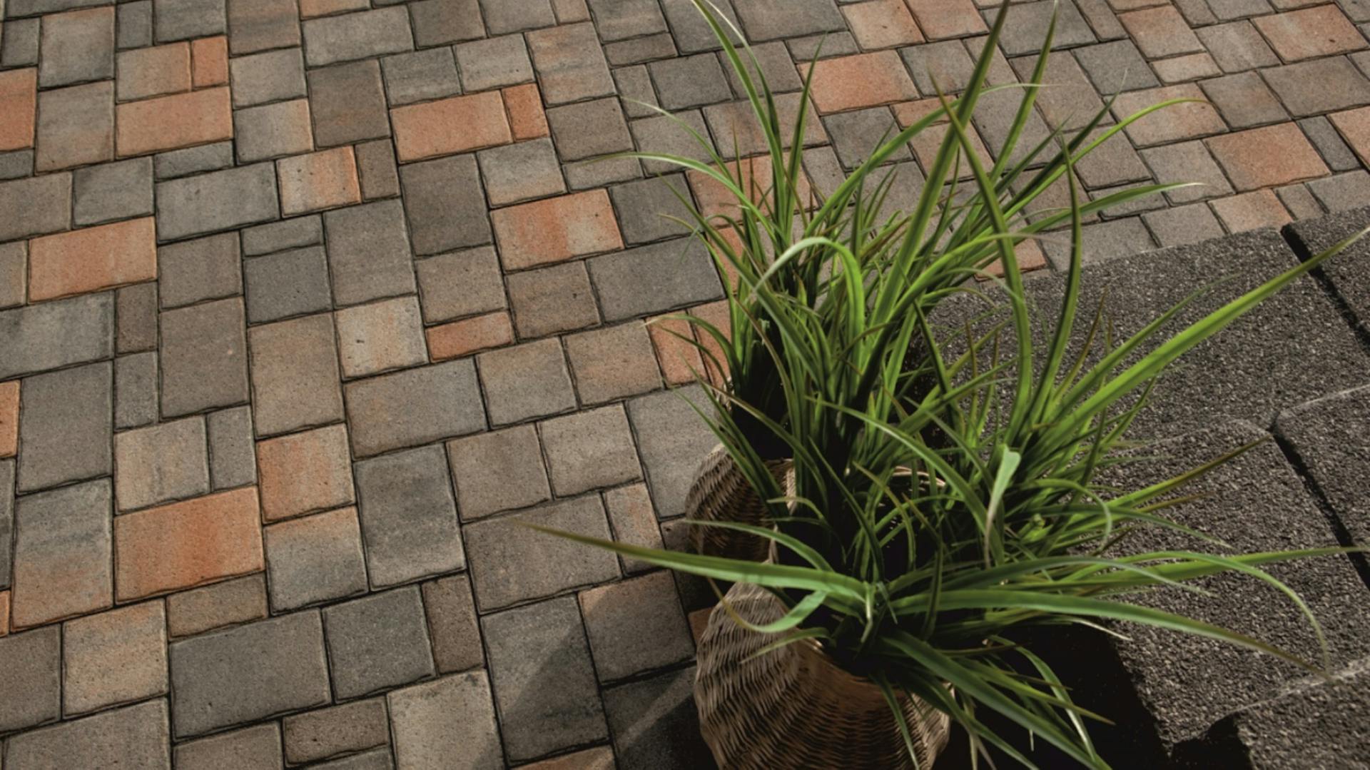 Terrassenbelag aus Zierpflaster in rot und grau