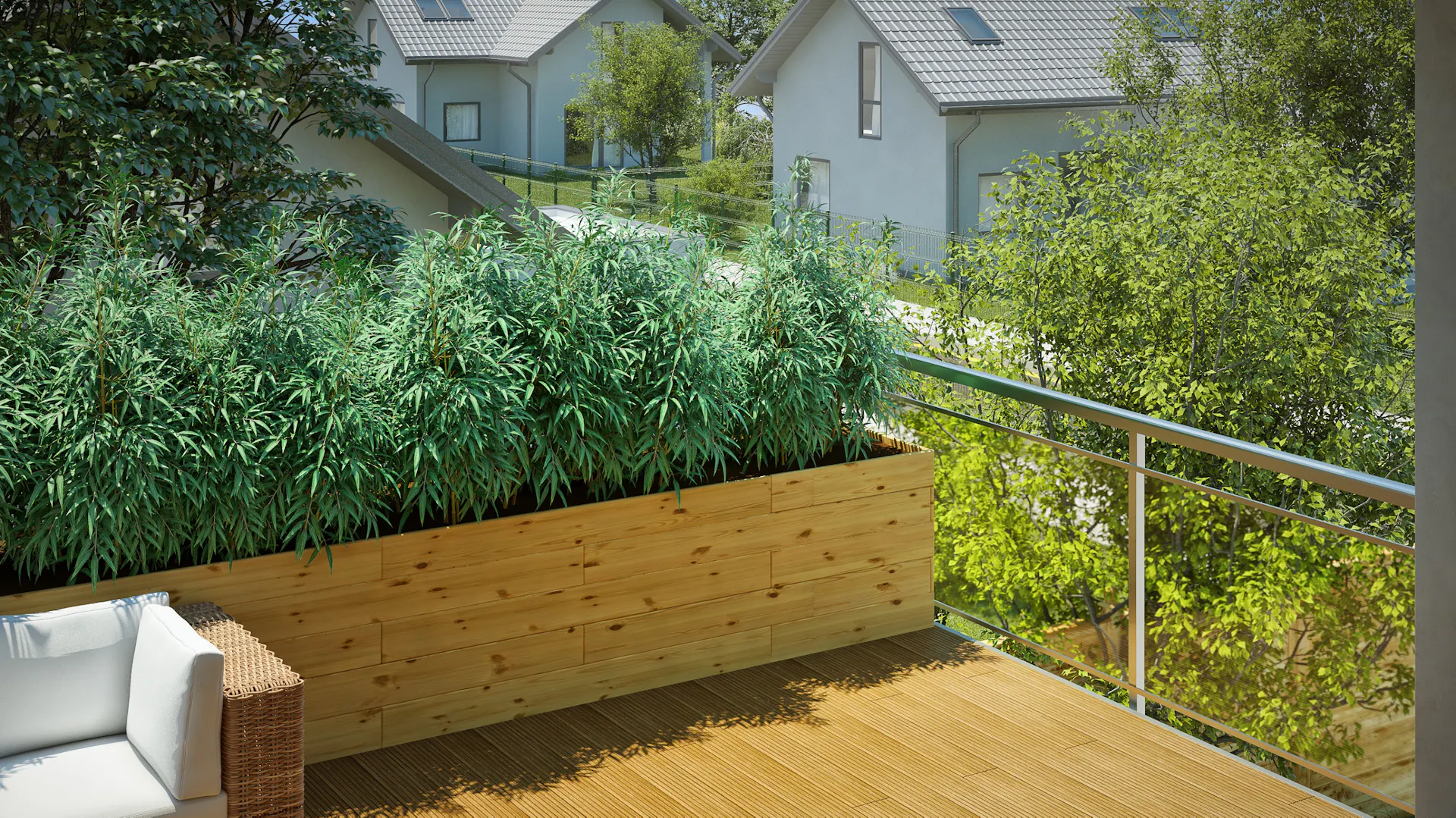 Bambus im Hochbeet als Sichtschutz auf dem Balkon