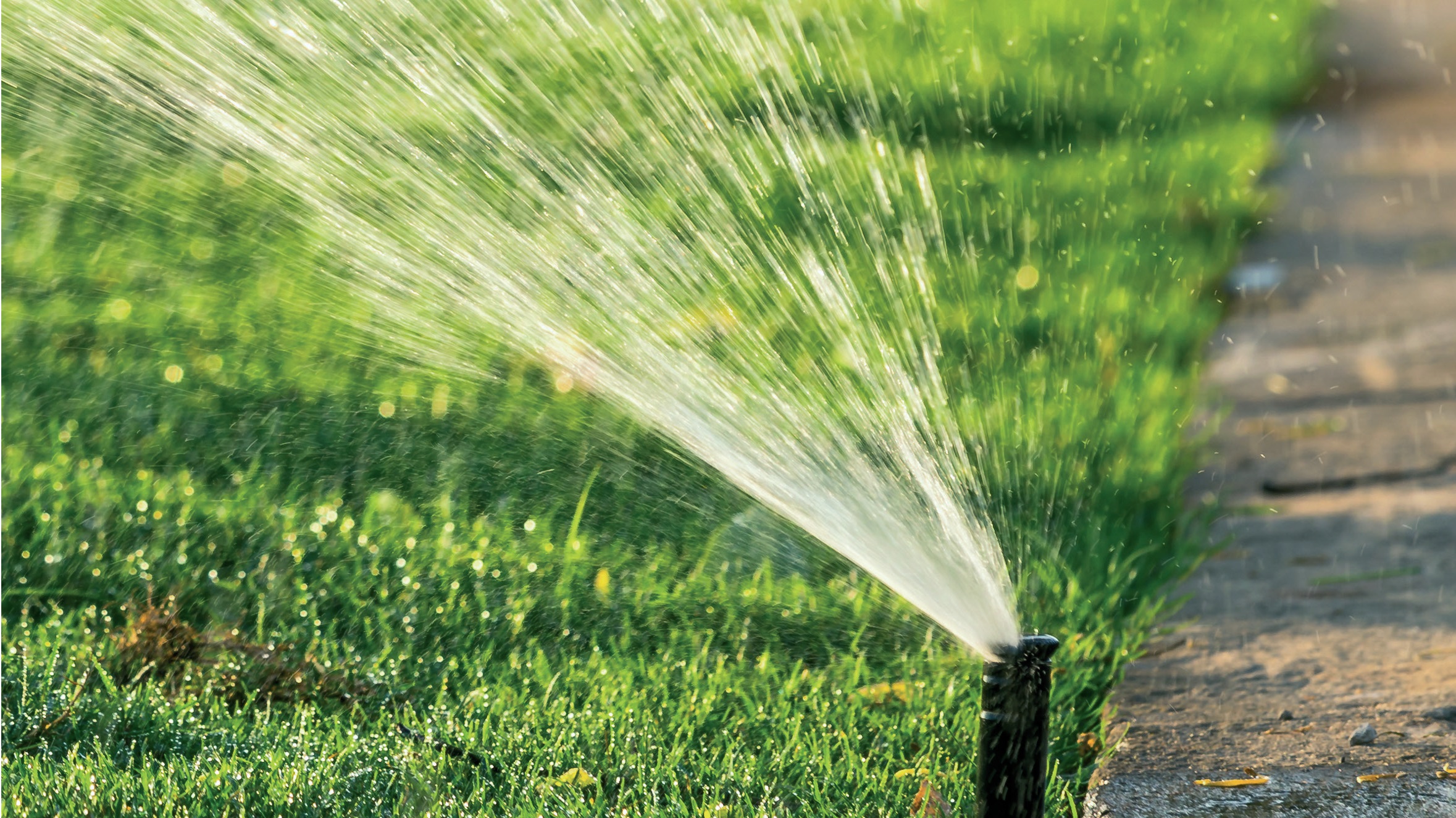 Ein Bewässerungssystem befeuchtet den Rasen.