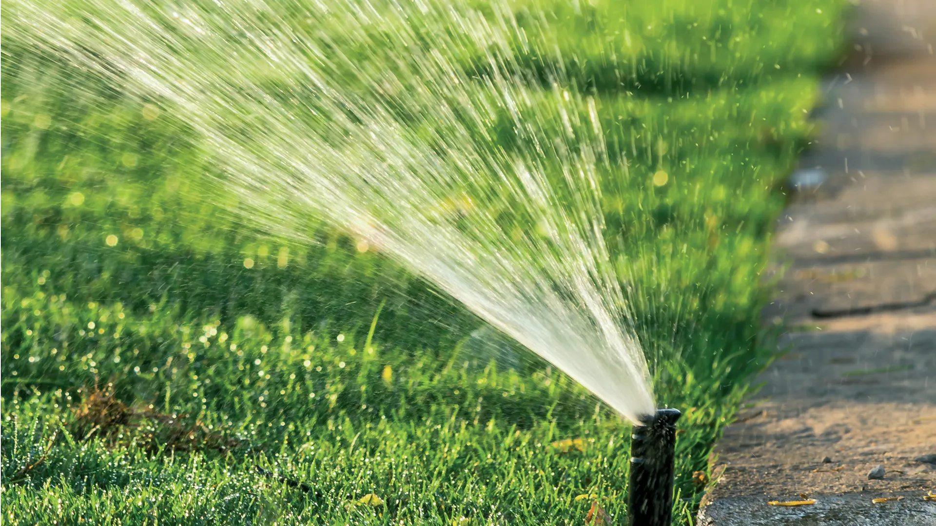 Ein Bewässerungssystem befeuchtet den Rasen.