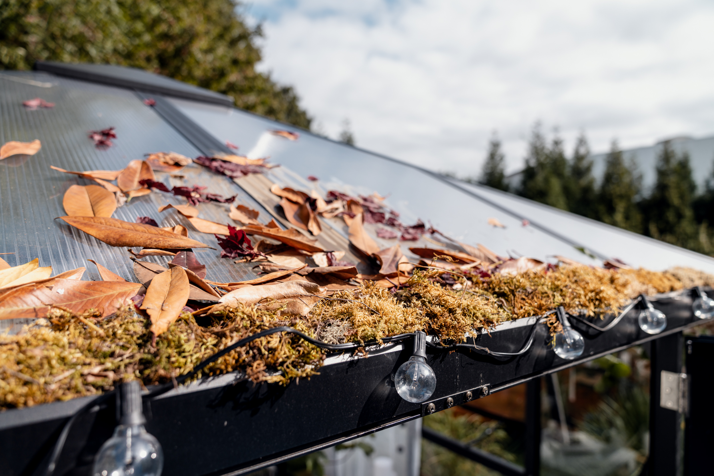 Moos und Laub liegt auf Gartenhaus