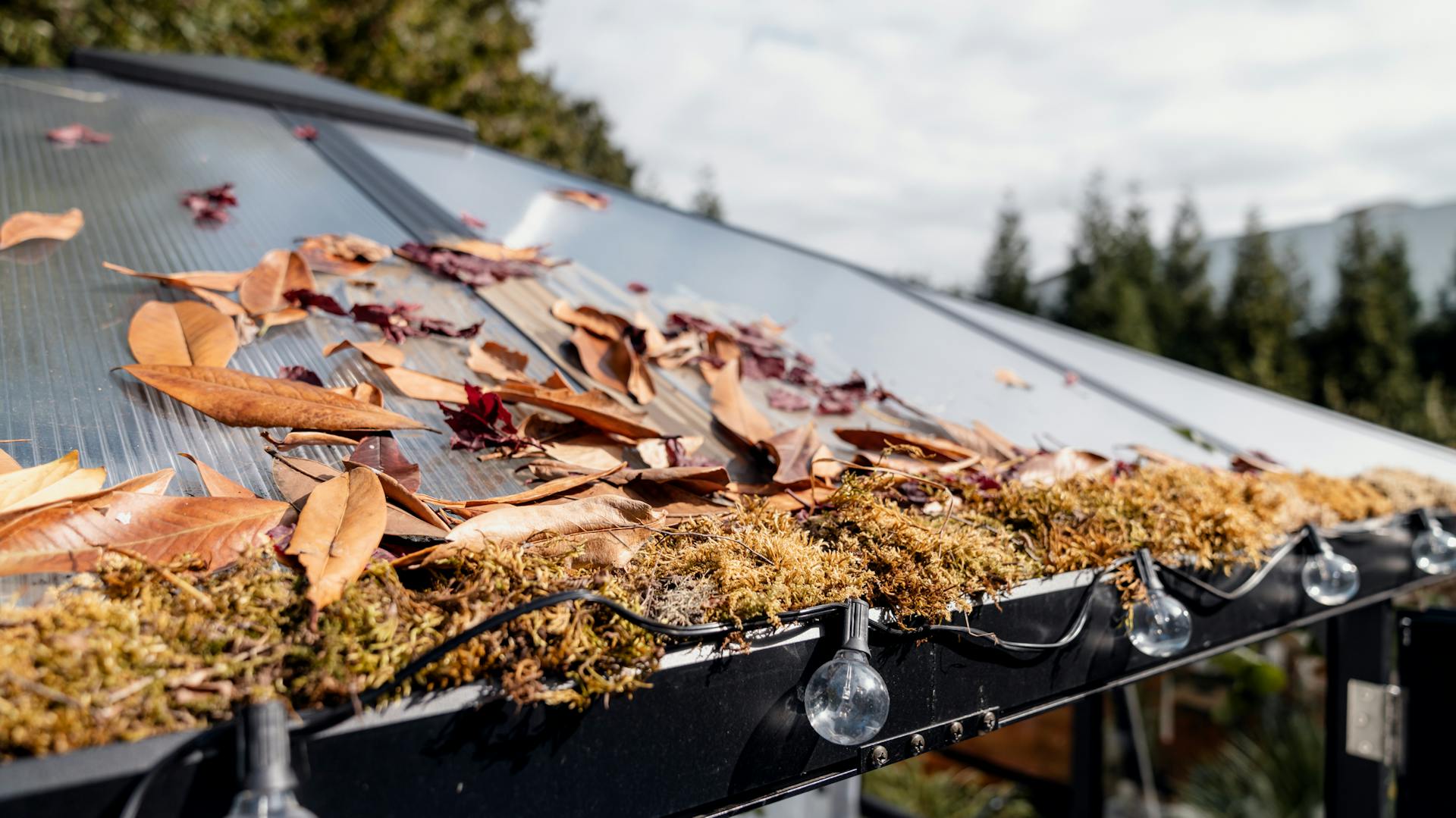 Moos und Laub liegt auf Gartenhaus