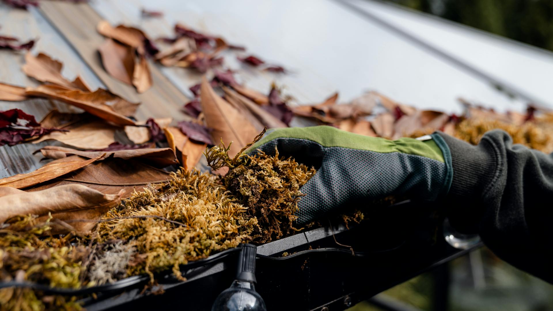 Mensch entfernt mit Handschuhen Moos aus der Dachrinne