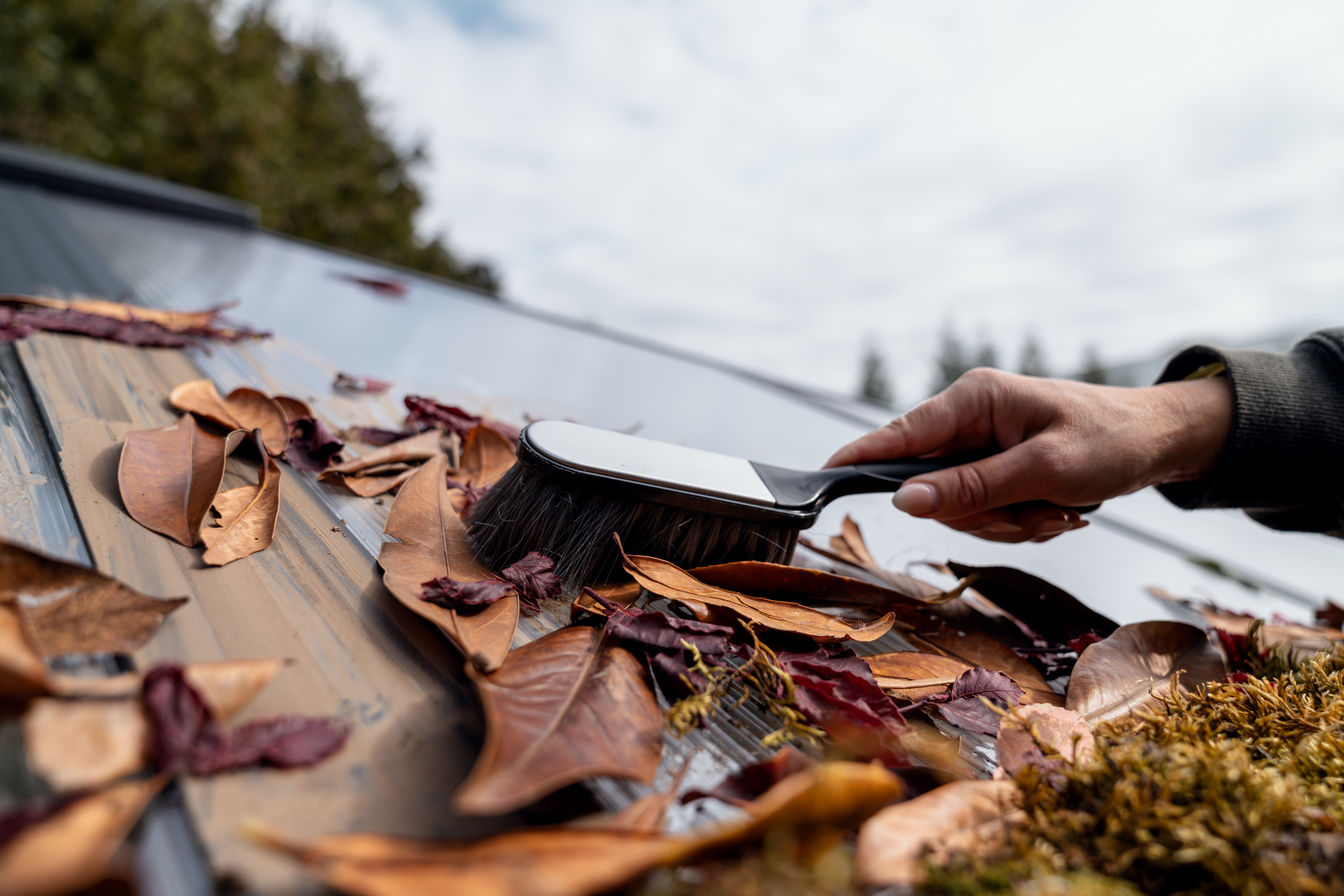 Laut auf Gartendach wird mit Handbesen entfernt