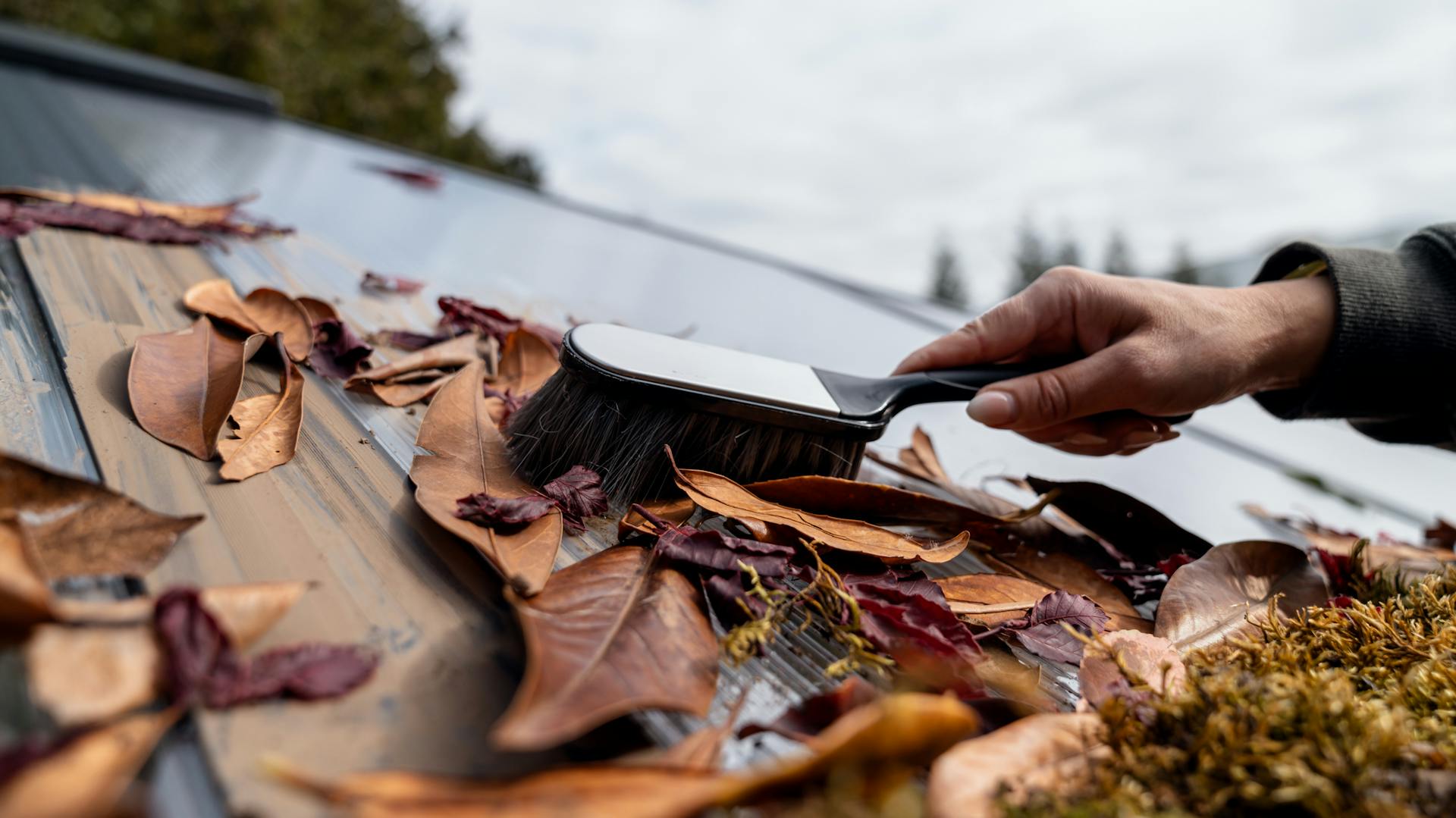 Laut auf Gartendach wird mit Handbesen entfernt
