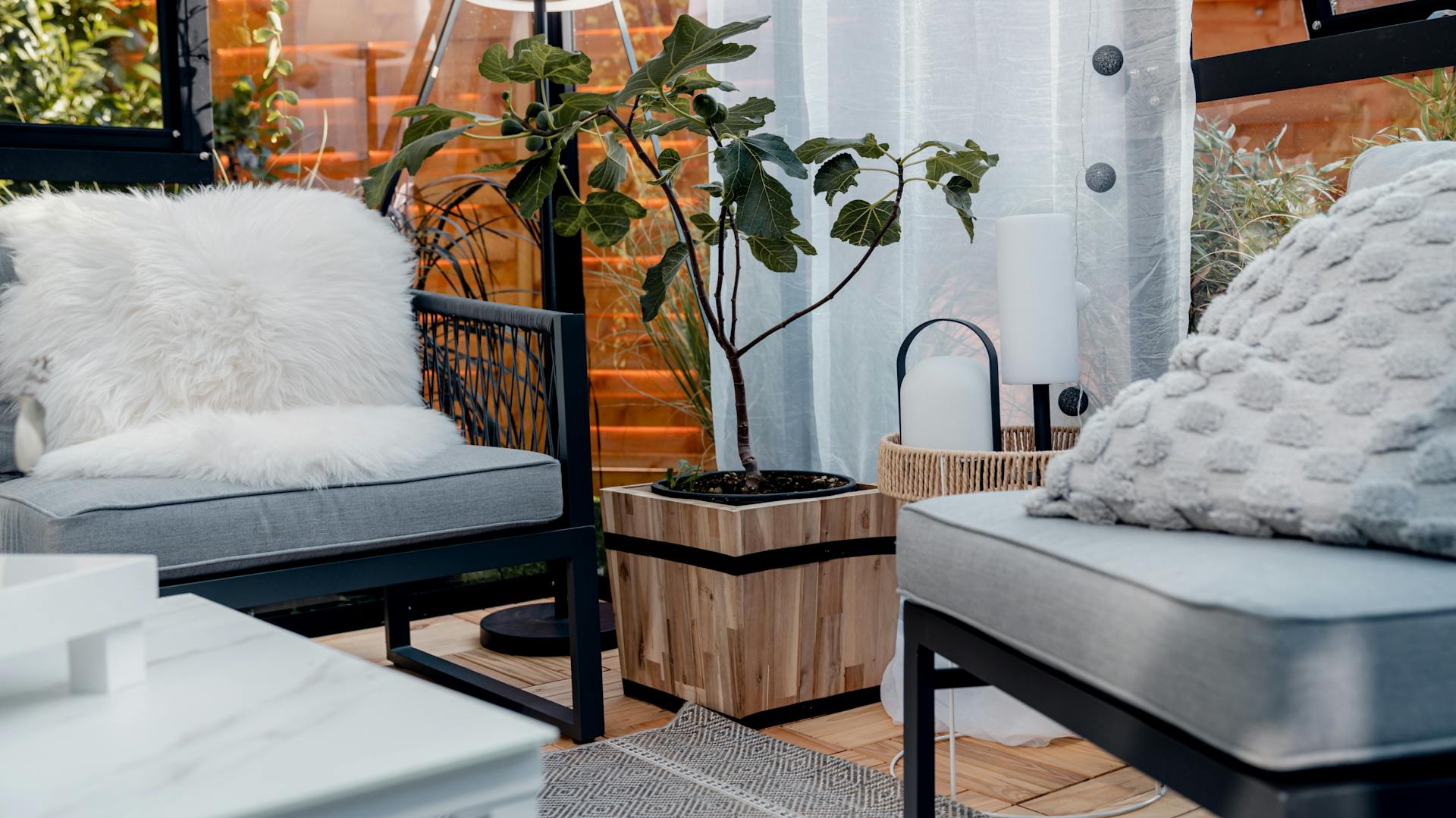 Topfpflanze steht im Wintergarten