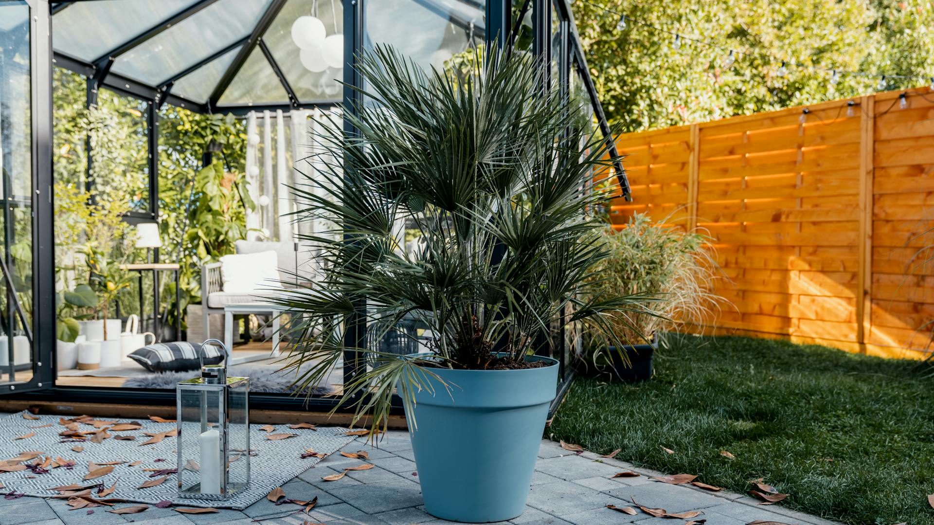 Topfpflanze wartet darauf, dass sie winterfest gemacht wird