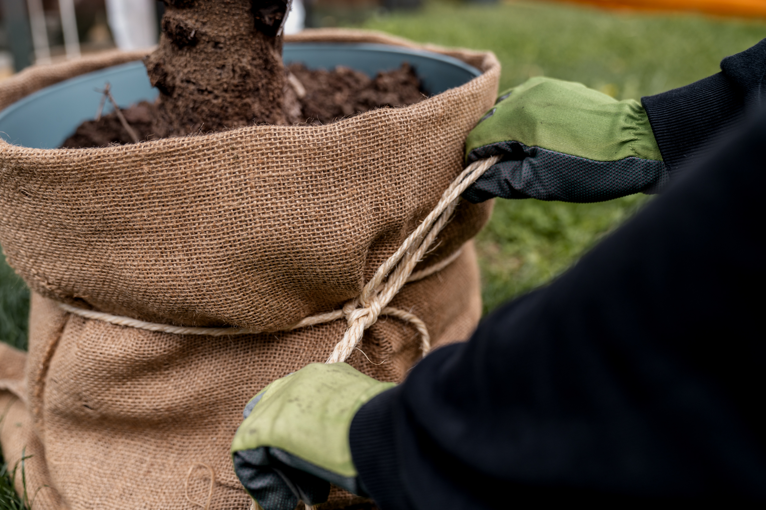 Anche il vaso ottiene una protezione invernale
