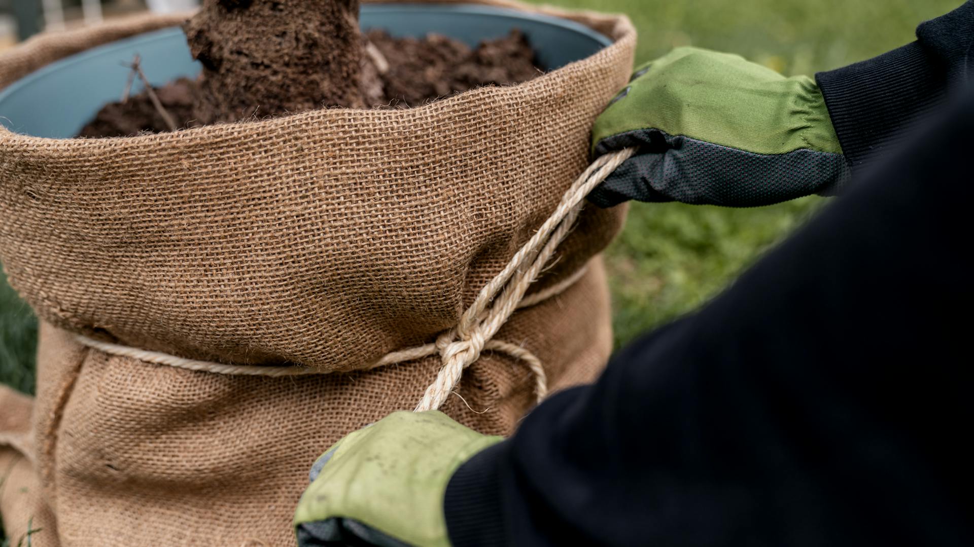 Topf bekommt auch ein Winterschutz