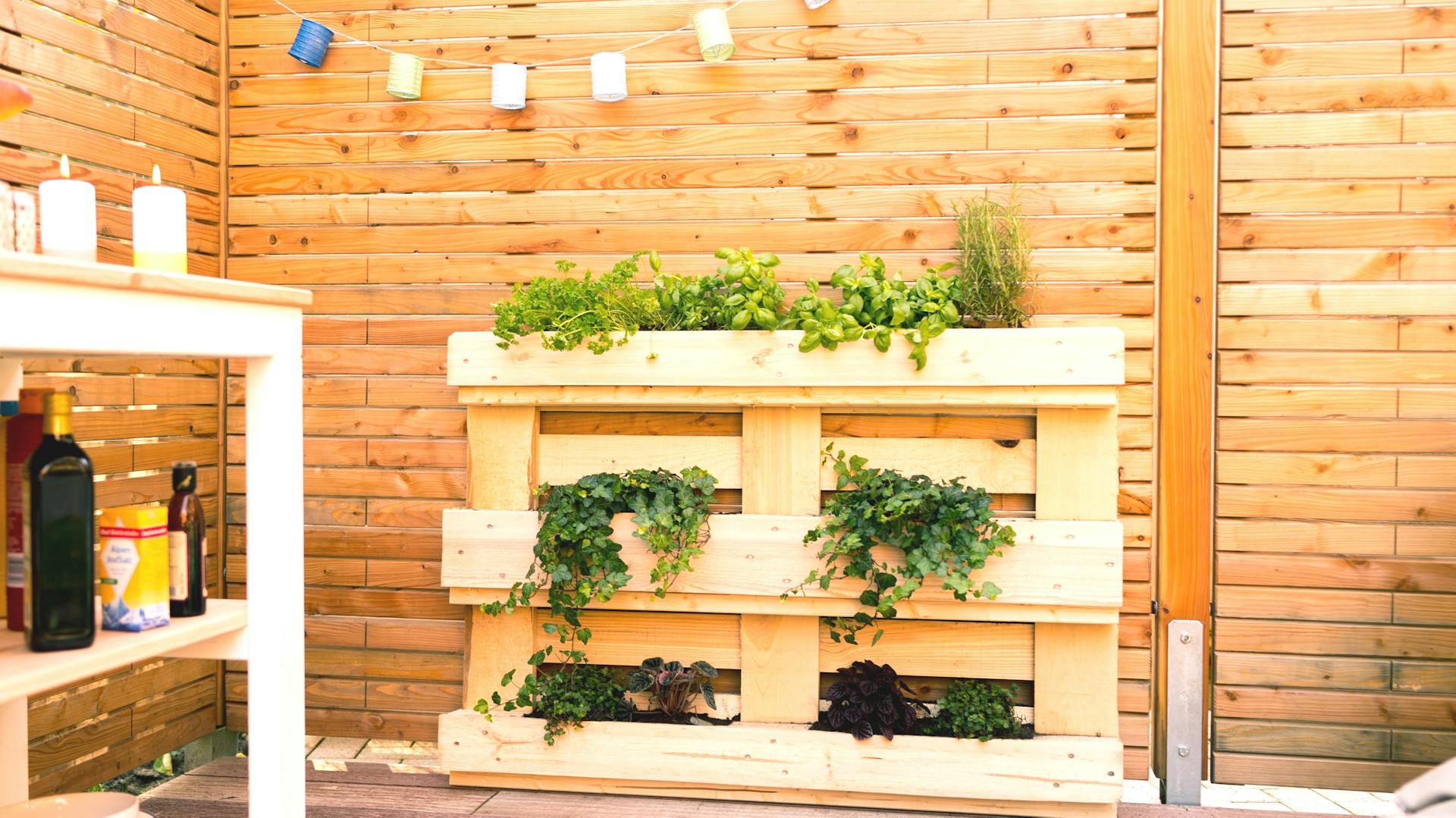 Ein Pflanzregal außen aus einer Palette.