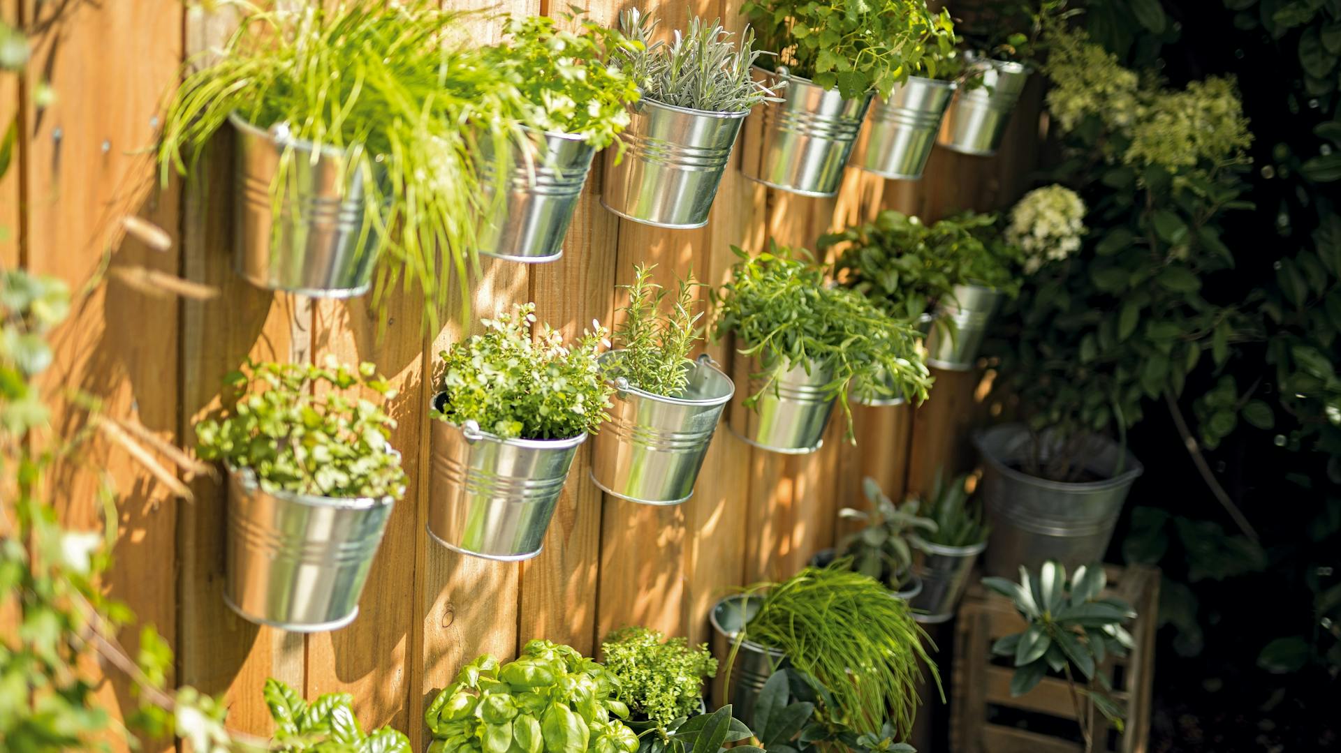 Pflanztöpfe an Sichtschutzzaun aus Holz