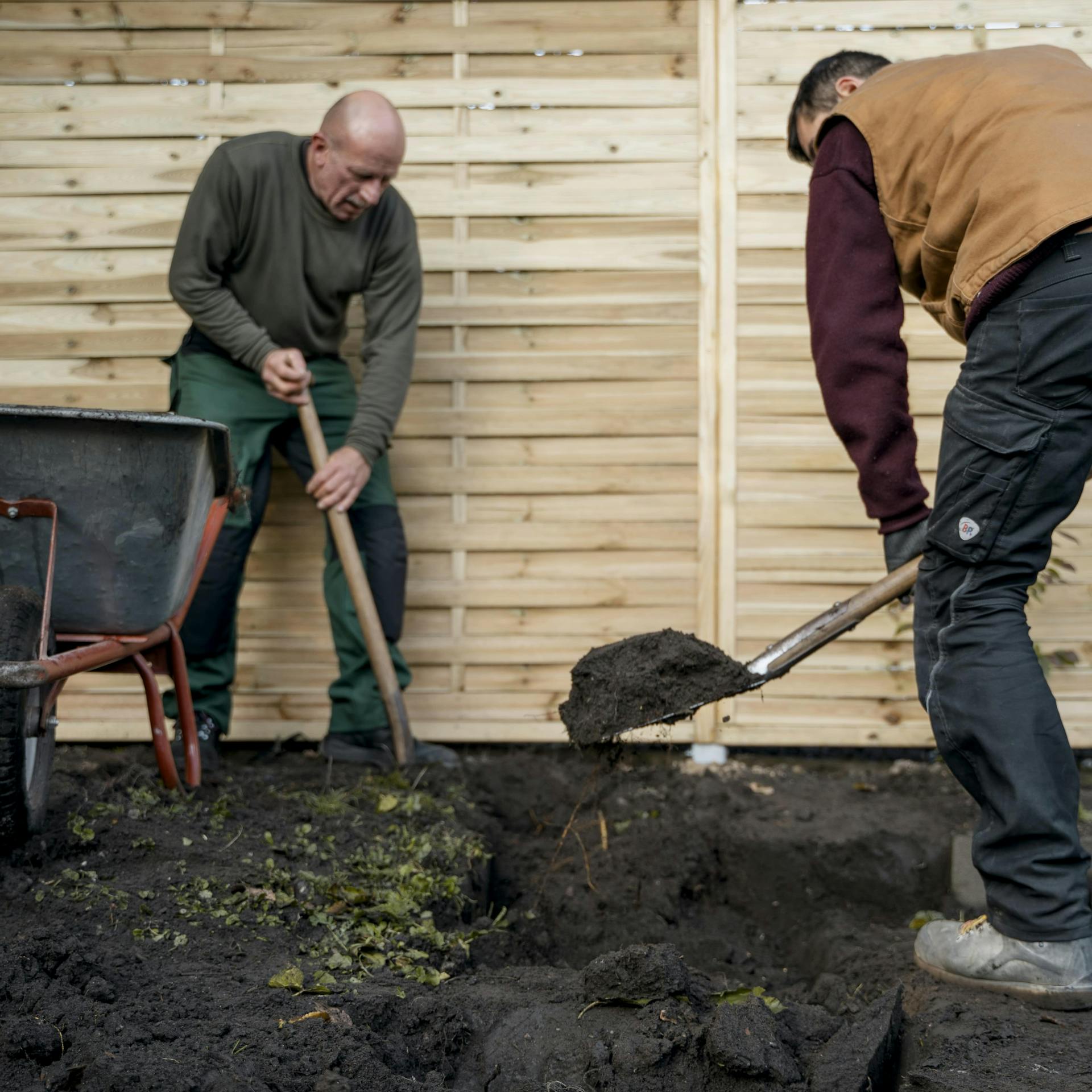 Zwei Gärtner tragen Mutterboden mit Spaten ab und füllen damit eine Schubkarre.