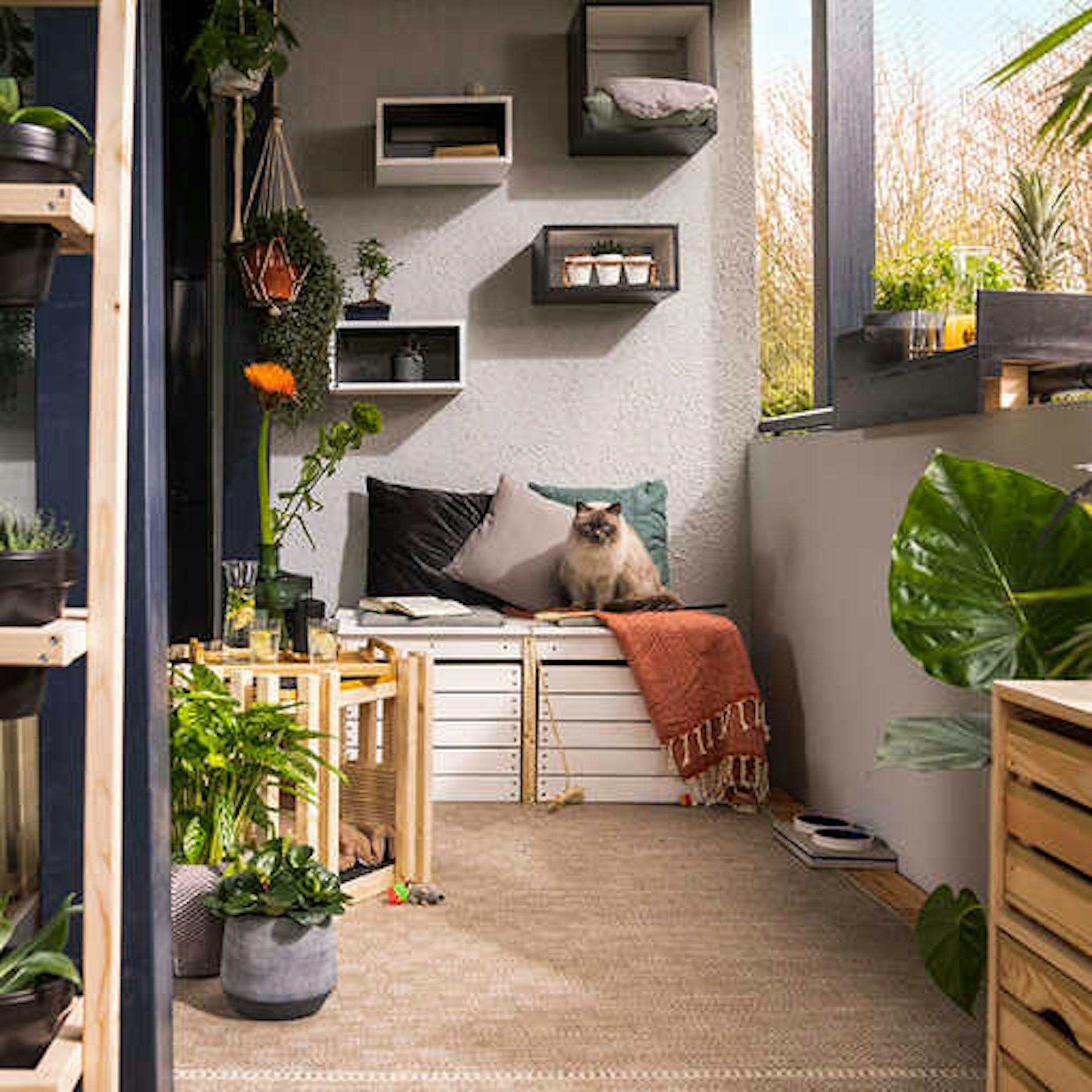 Balkonbank Lasse steht zentral auf dem auf einem Balkon, der mit einer Katzenhöhle und Futterstation ausgestattet ist.