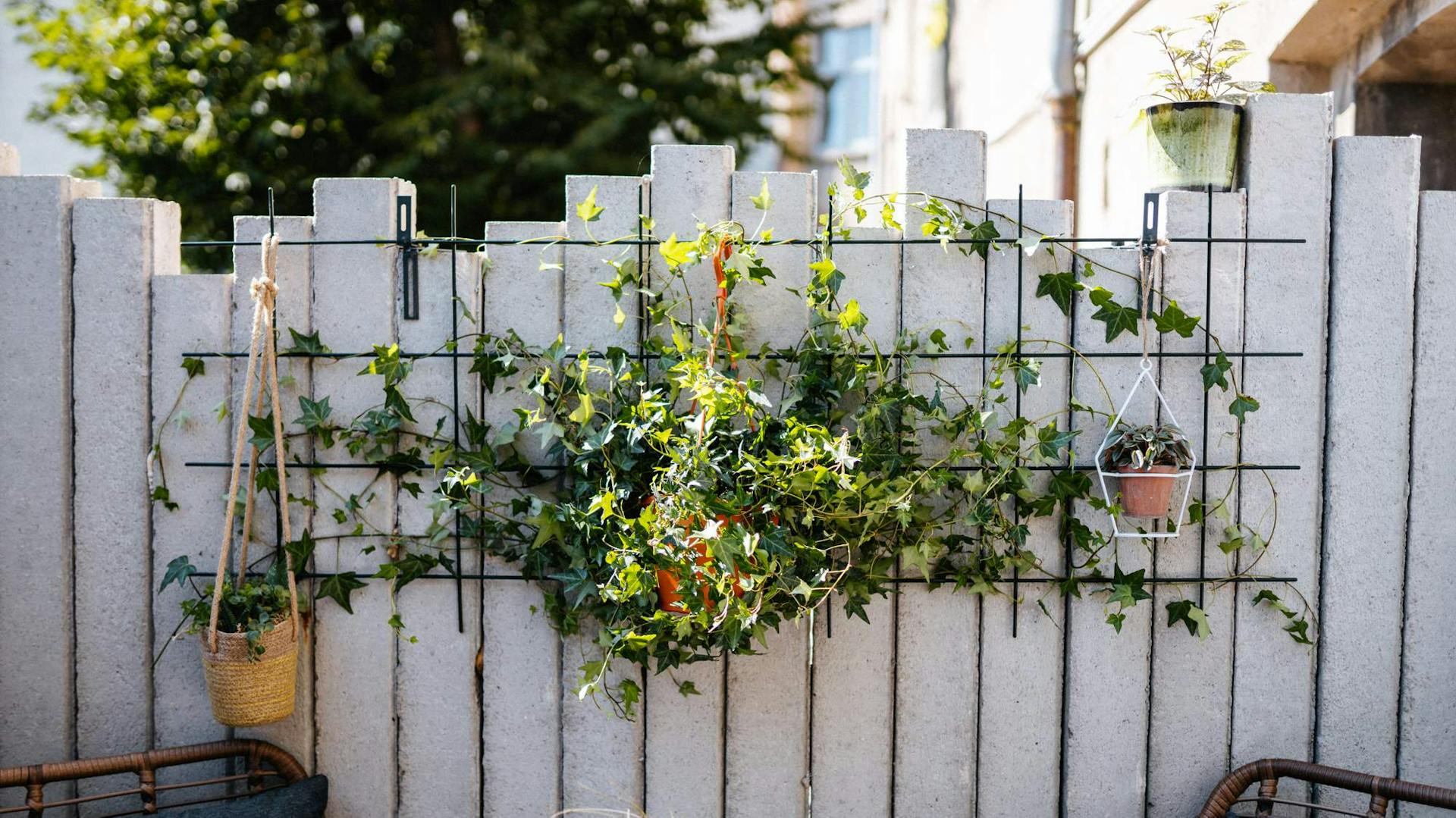Gartenmauer mit Rankgitter, Pflanzen und Dekoration