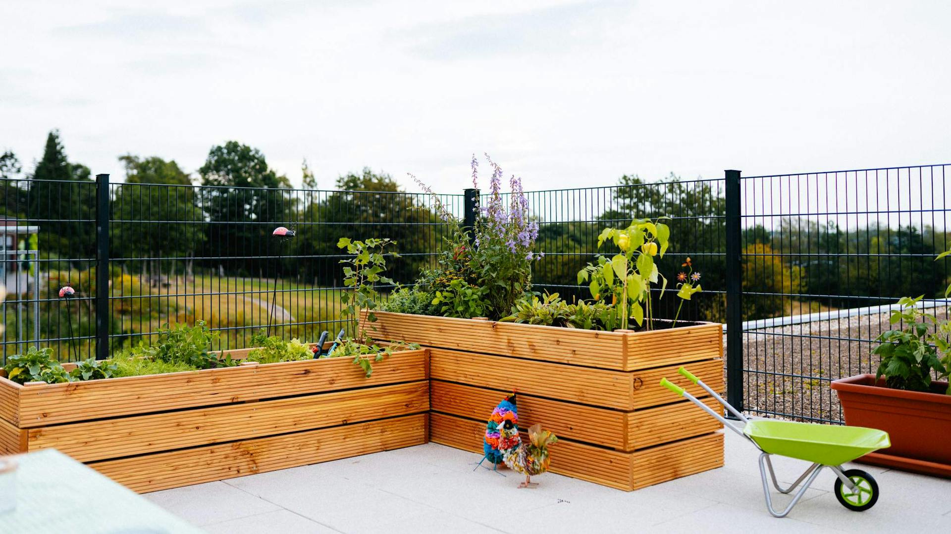 Bepflanzte Hochbeete auf Terrasse